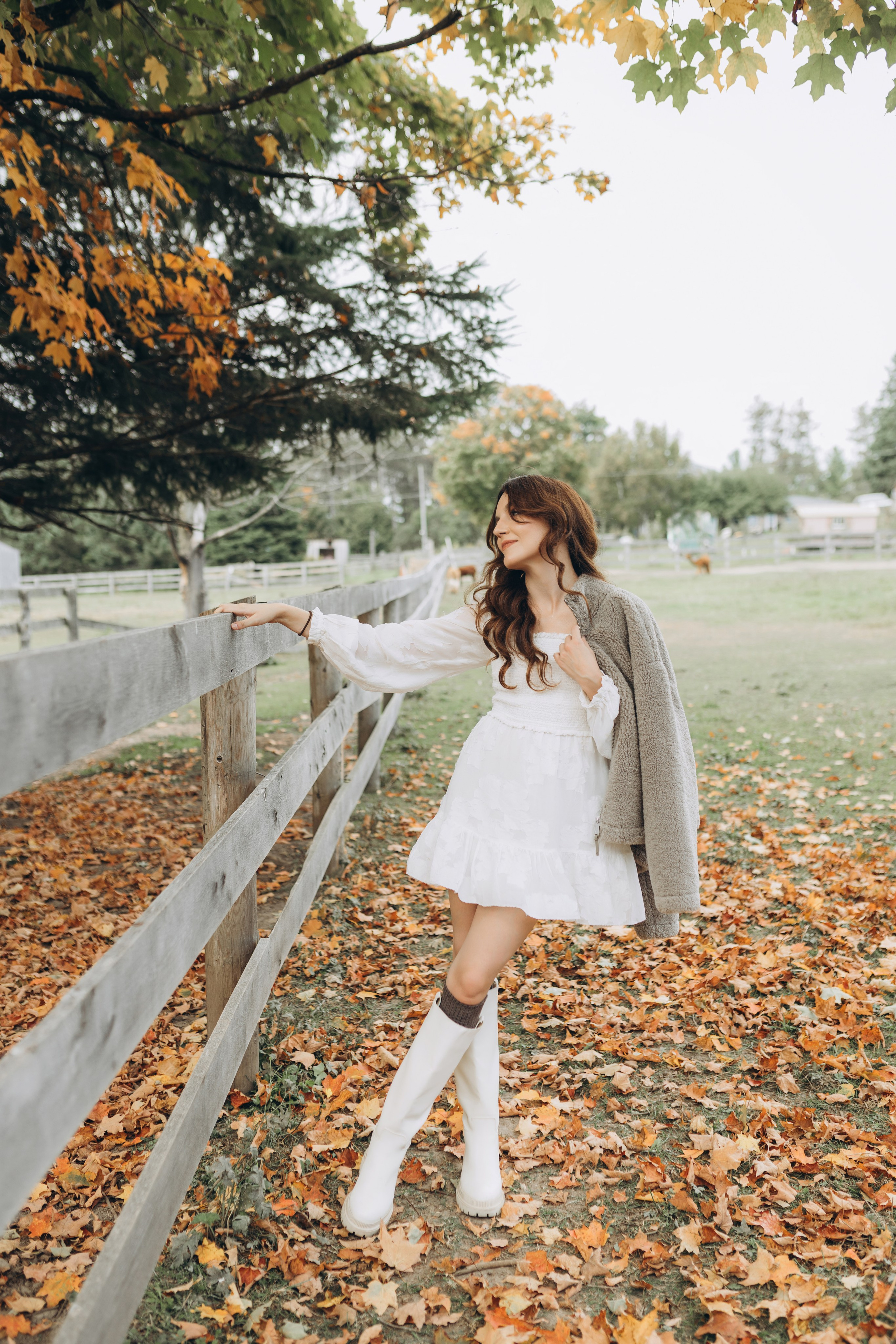 Alpacas Farm. Chernenko.photography