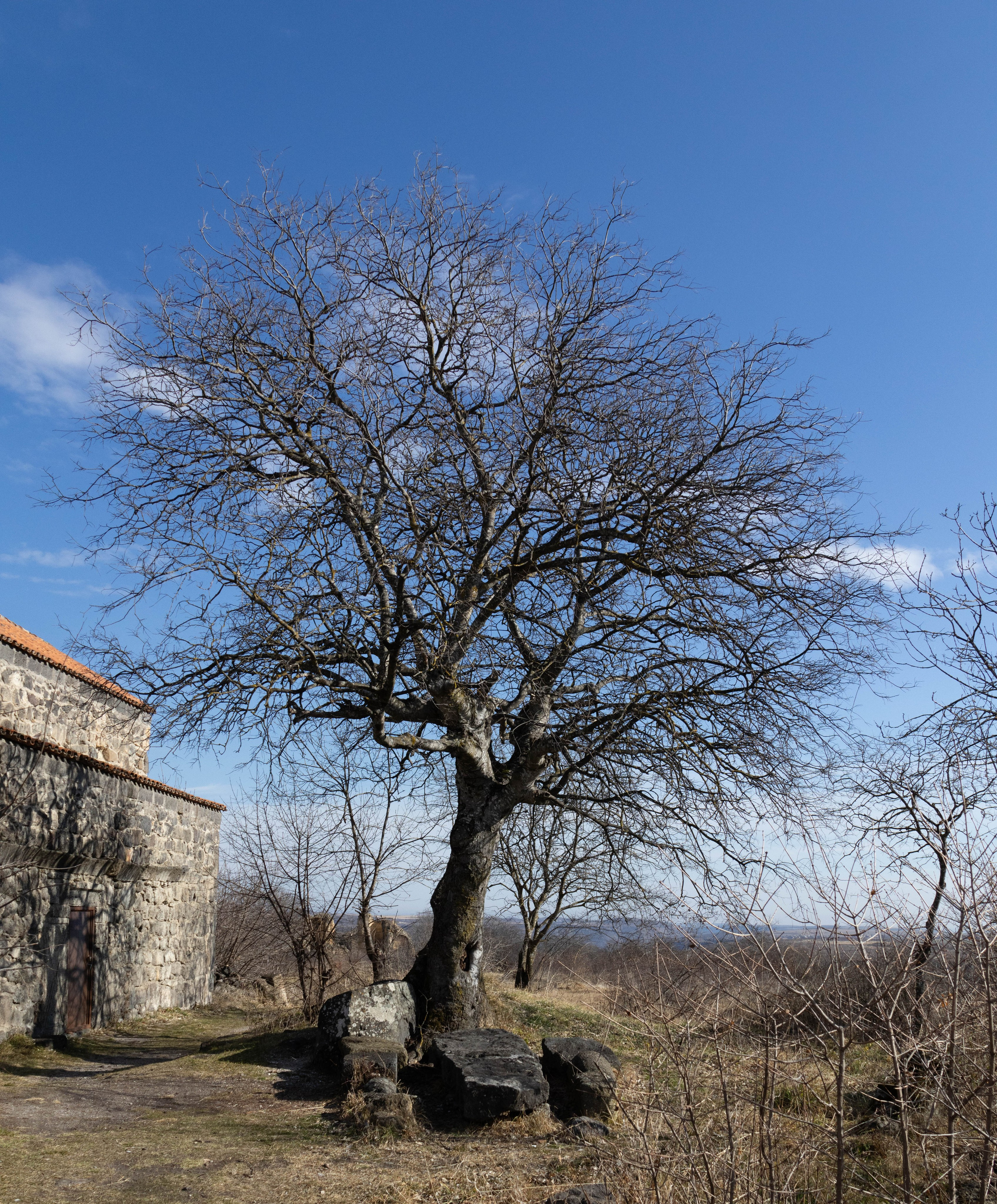 სამშვილდე. FramefreeMan