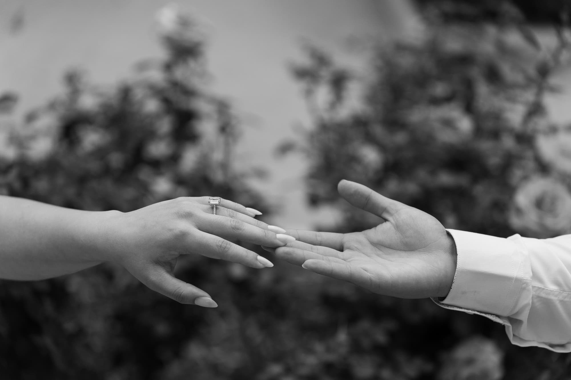 Esmeralda & Jaime. Cinematic Wedding & Elopement Photography in Los Angeles | Inspired by Indie Film & Real Life