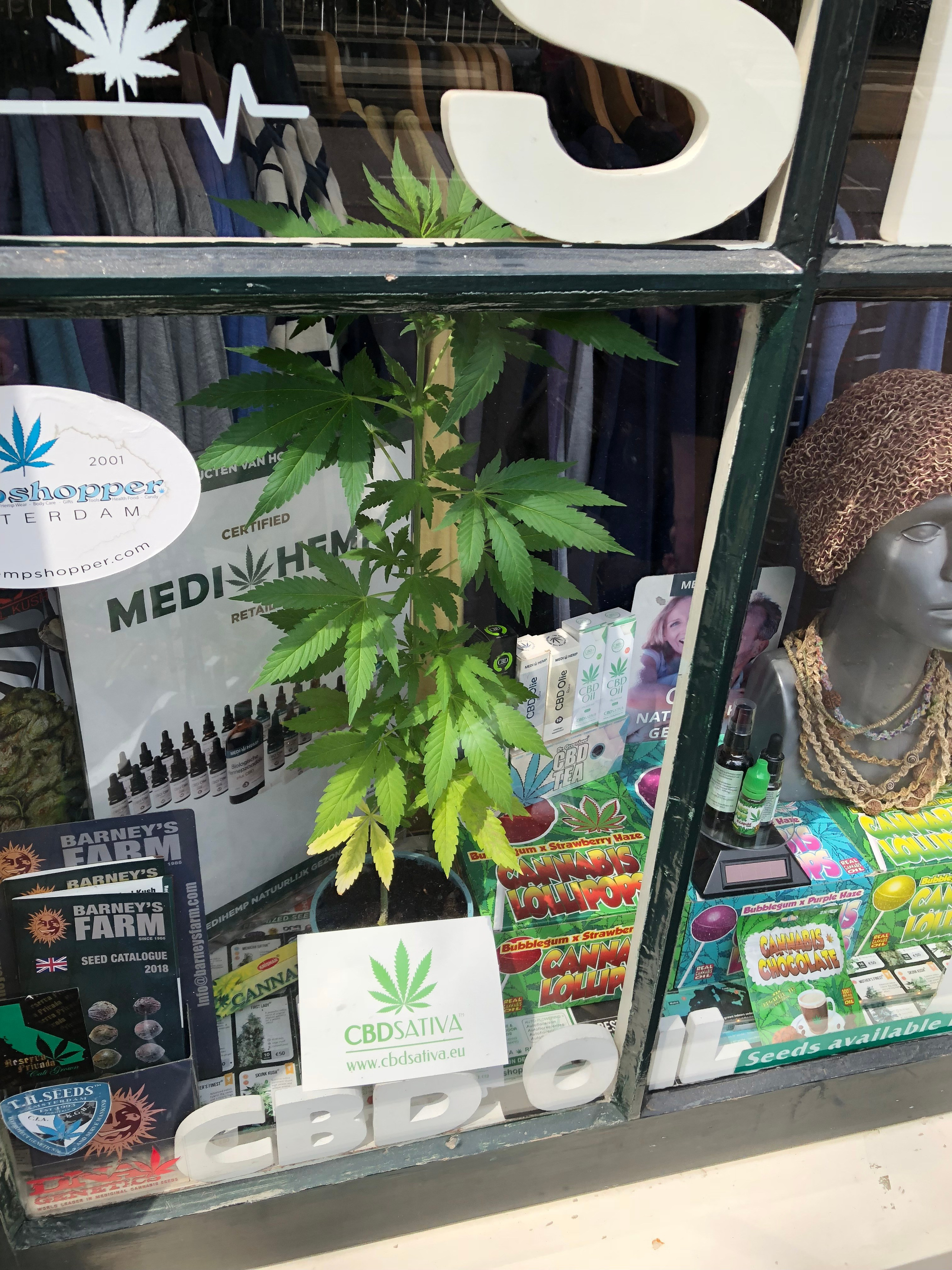 On my last visit to AMSTERDAM May 2018 it was fun and very interesting in this country