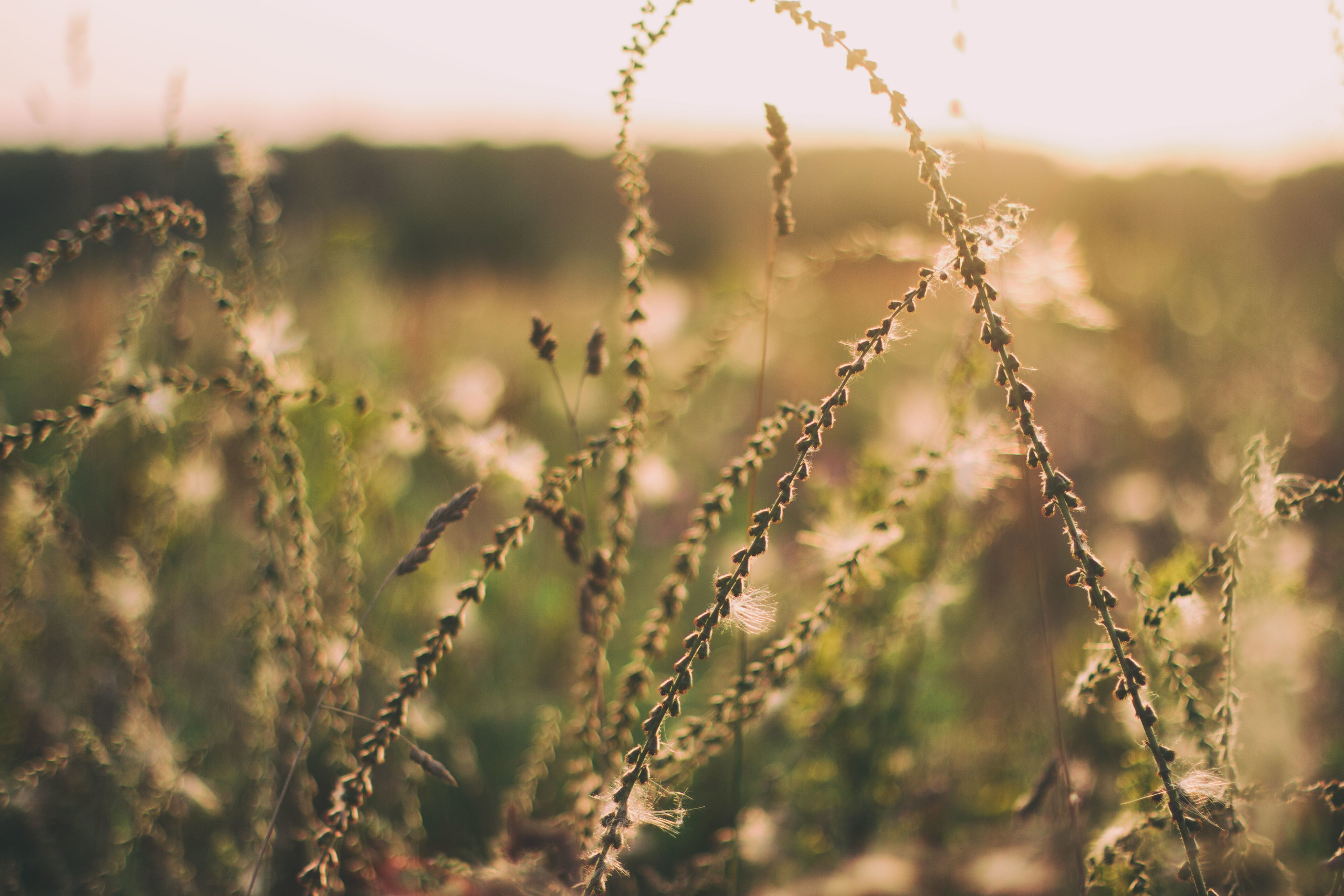 My travels. Alexandra Grevtseva — Art-photographer in Germany