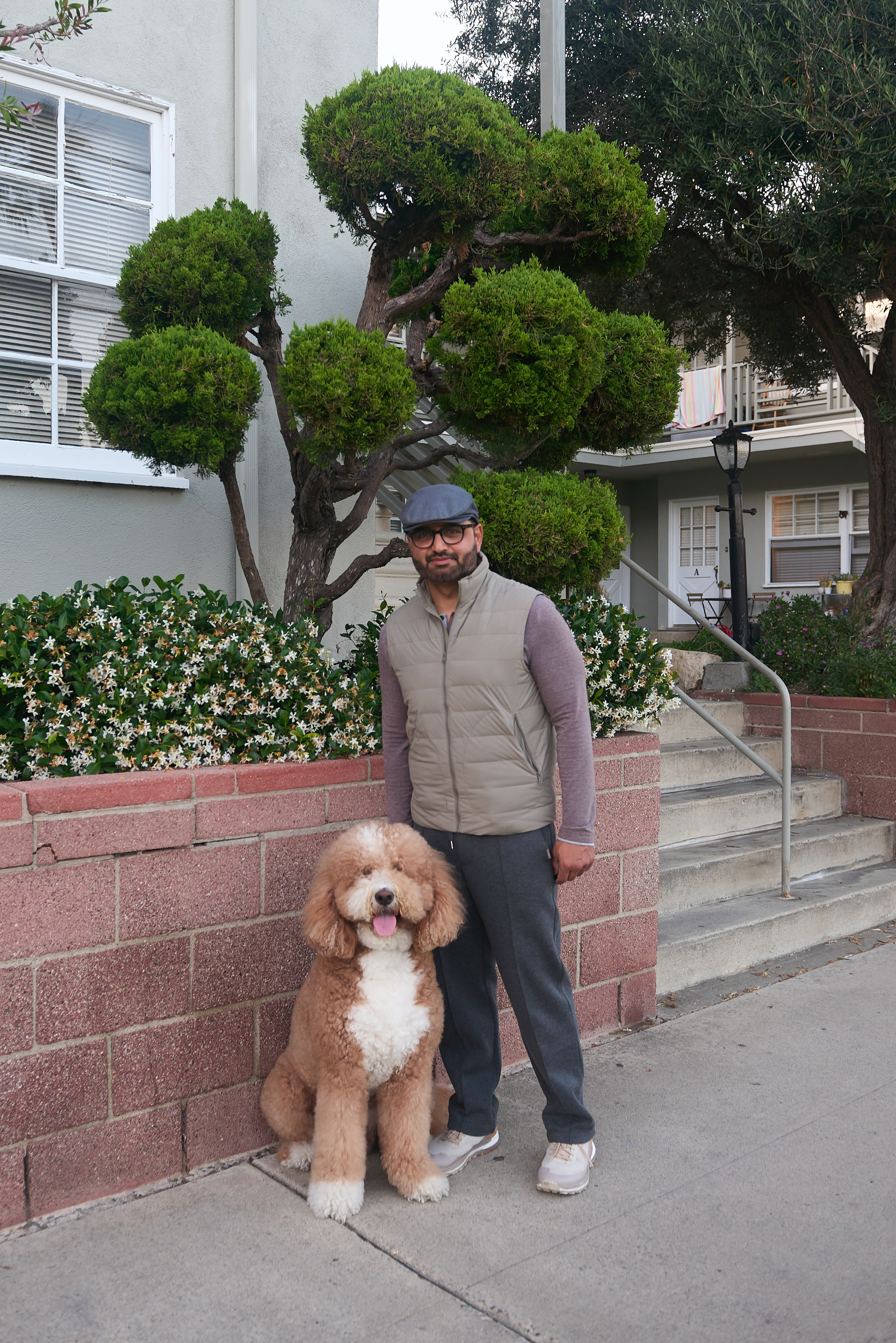 Happy dog looking at its owner during a natural pet photography session in Torrance