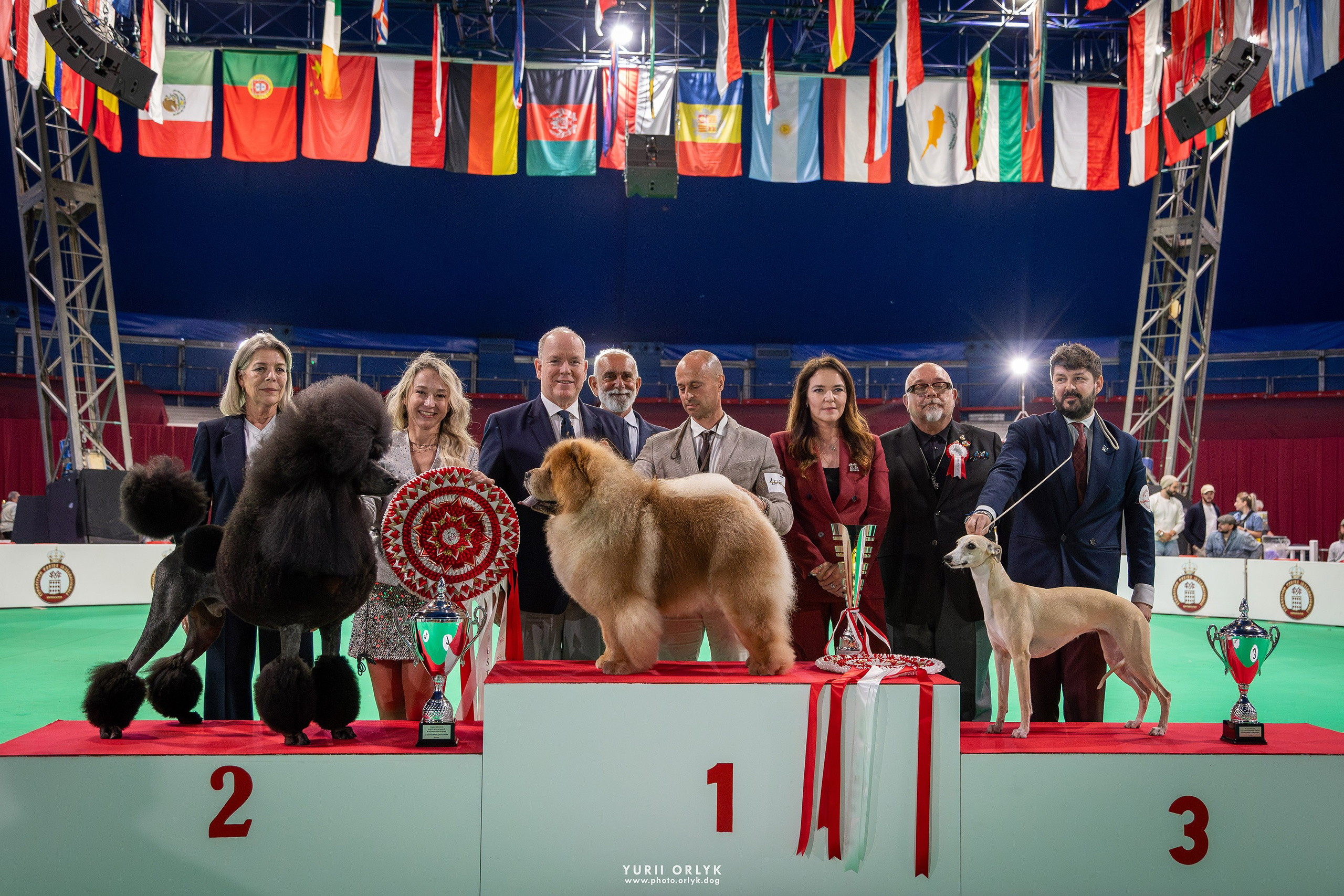 Dog Shows. Yurii Orlyk Photography