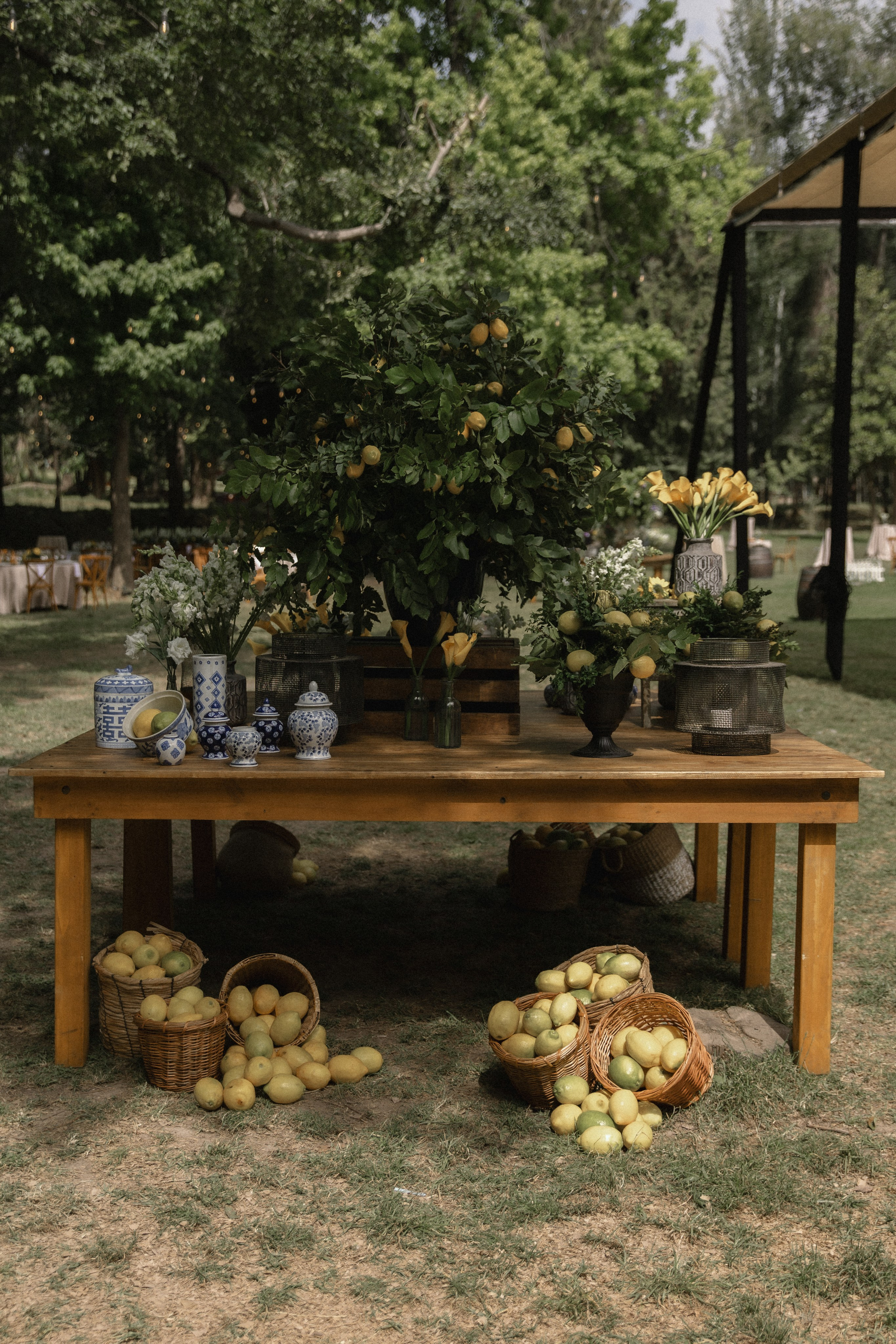 María José & Nikolas. Fotógrafa familiar Santiago y Chile Anna Almazova