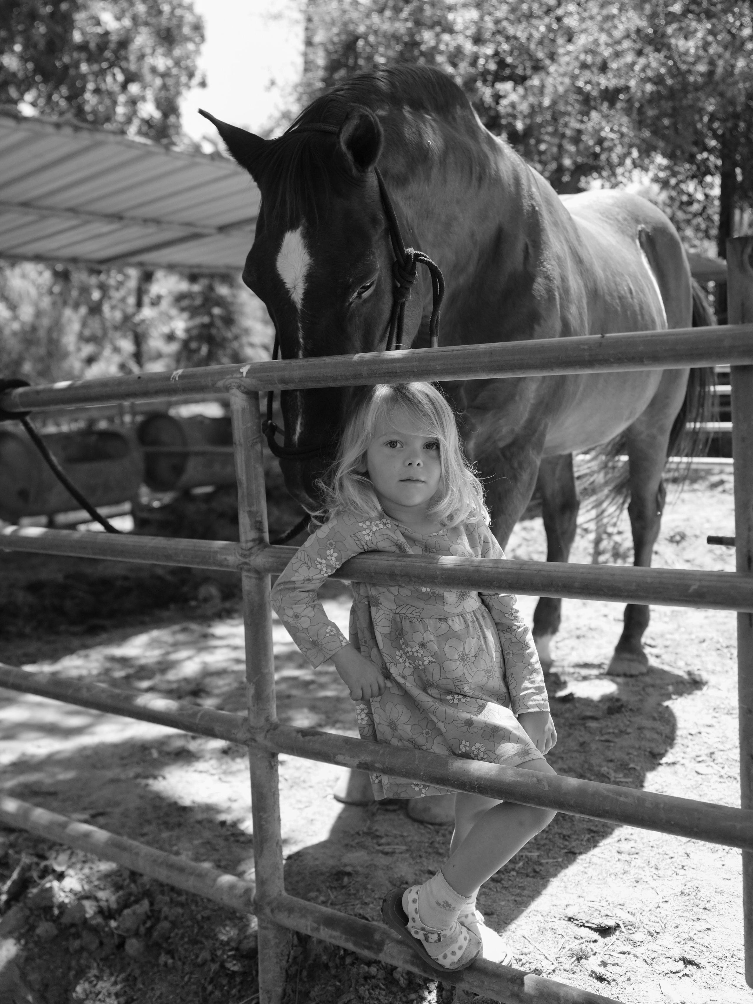 Children with horses. Фотограф и видеограф в США (и по всему миру) — Татьяна Иванова