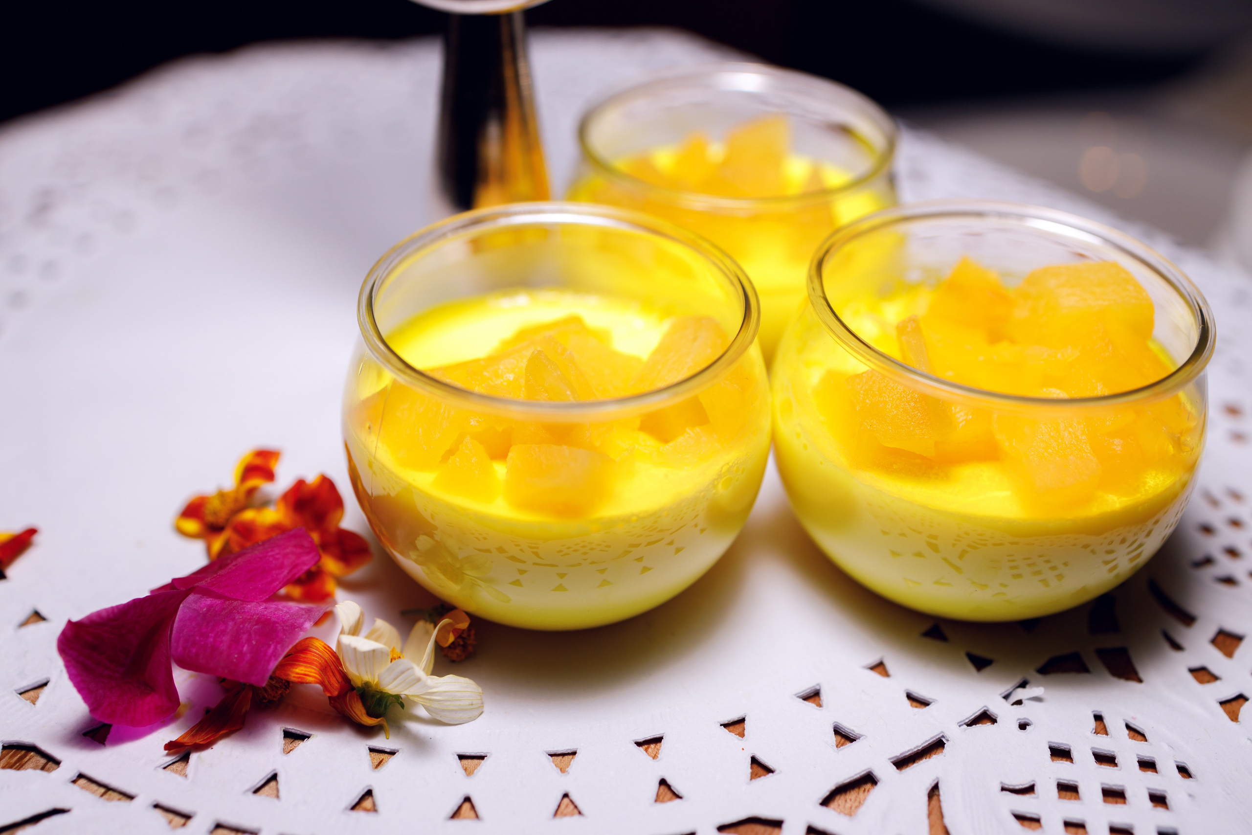 Event. Family and Event photographer in Bay Area Elena Tiuriumina