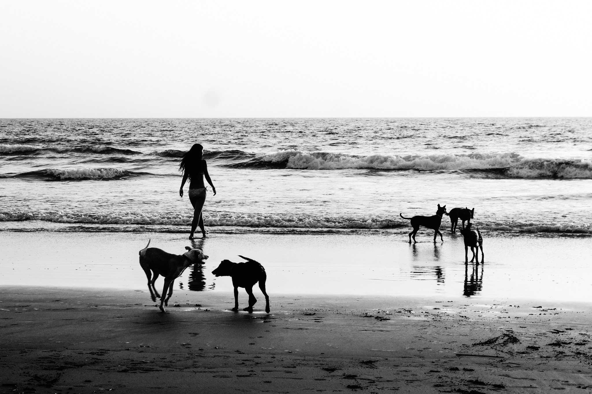 Reportage. Murat Bostan Fotografie für Events, kleine Hochzeiten und Portraitfotografie