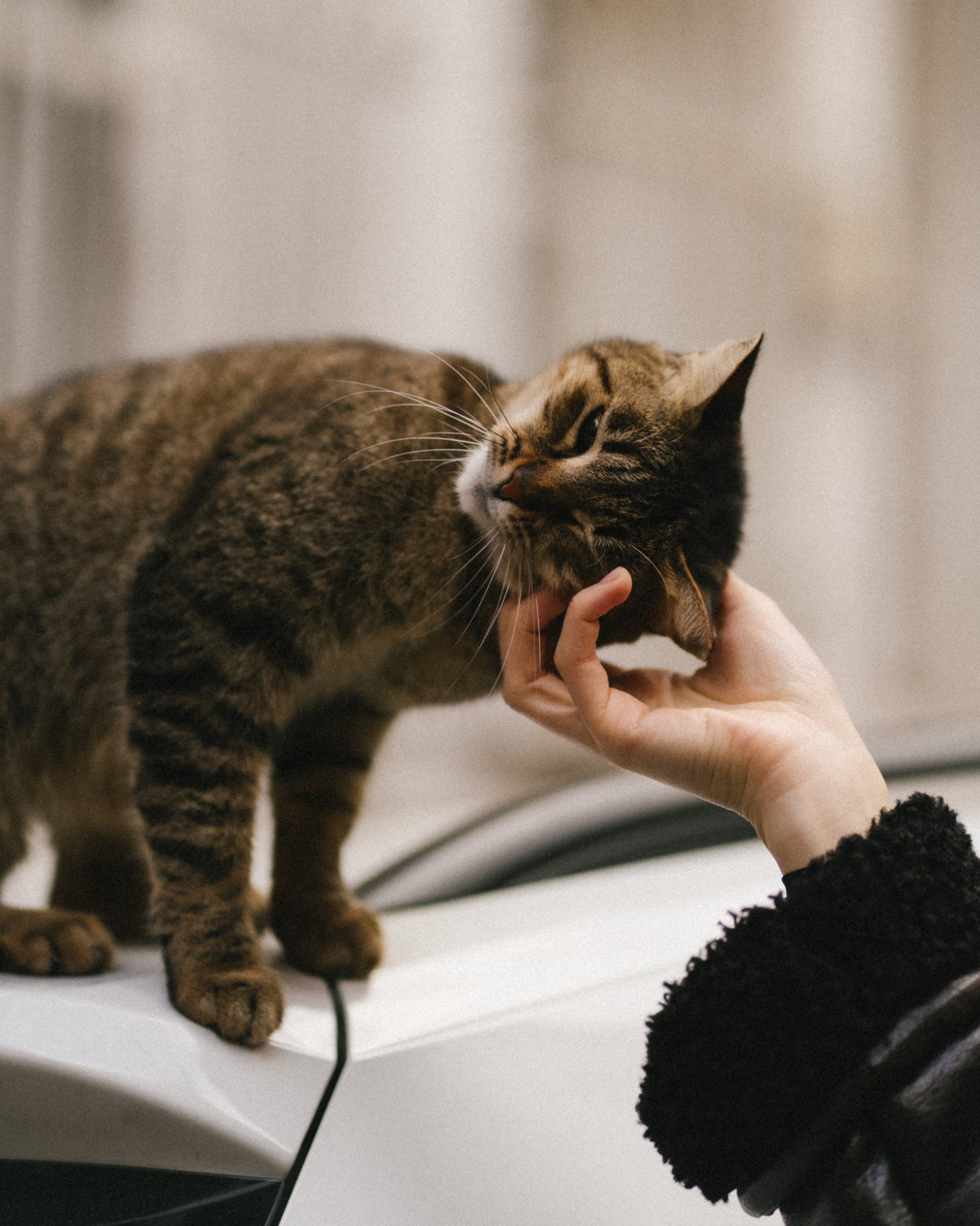 Yulia. Даша Родина женский фотограф в Стамбуле