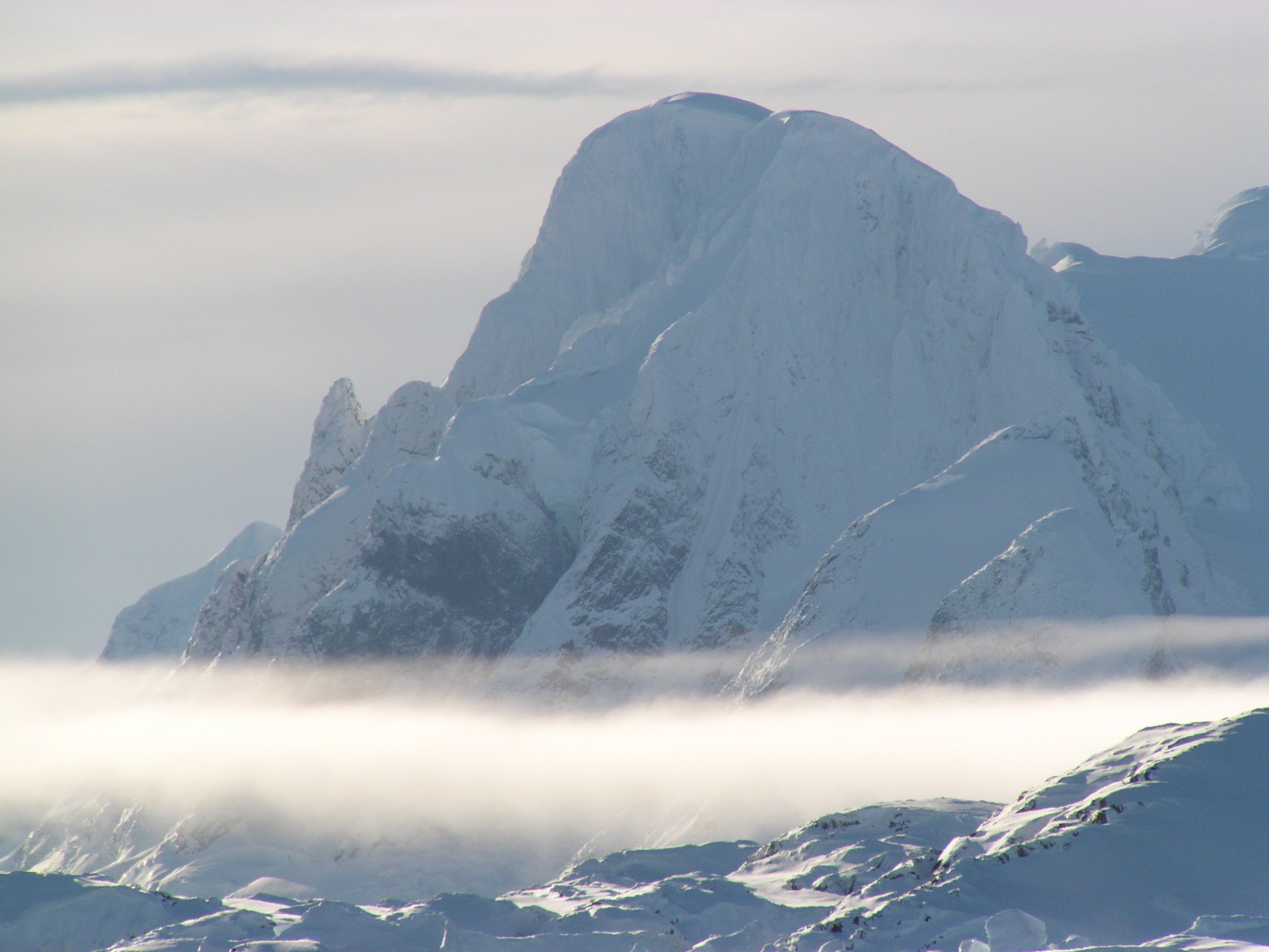 ANTARCTICA. Reportage concert portrait photography in the San Francisco Bay Area