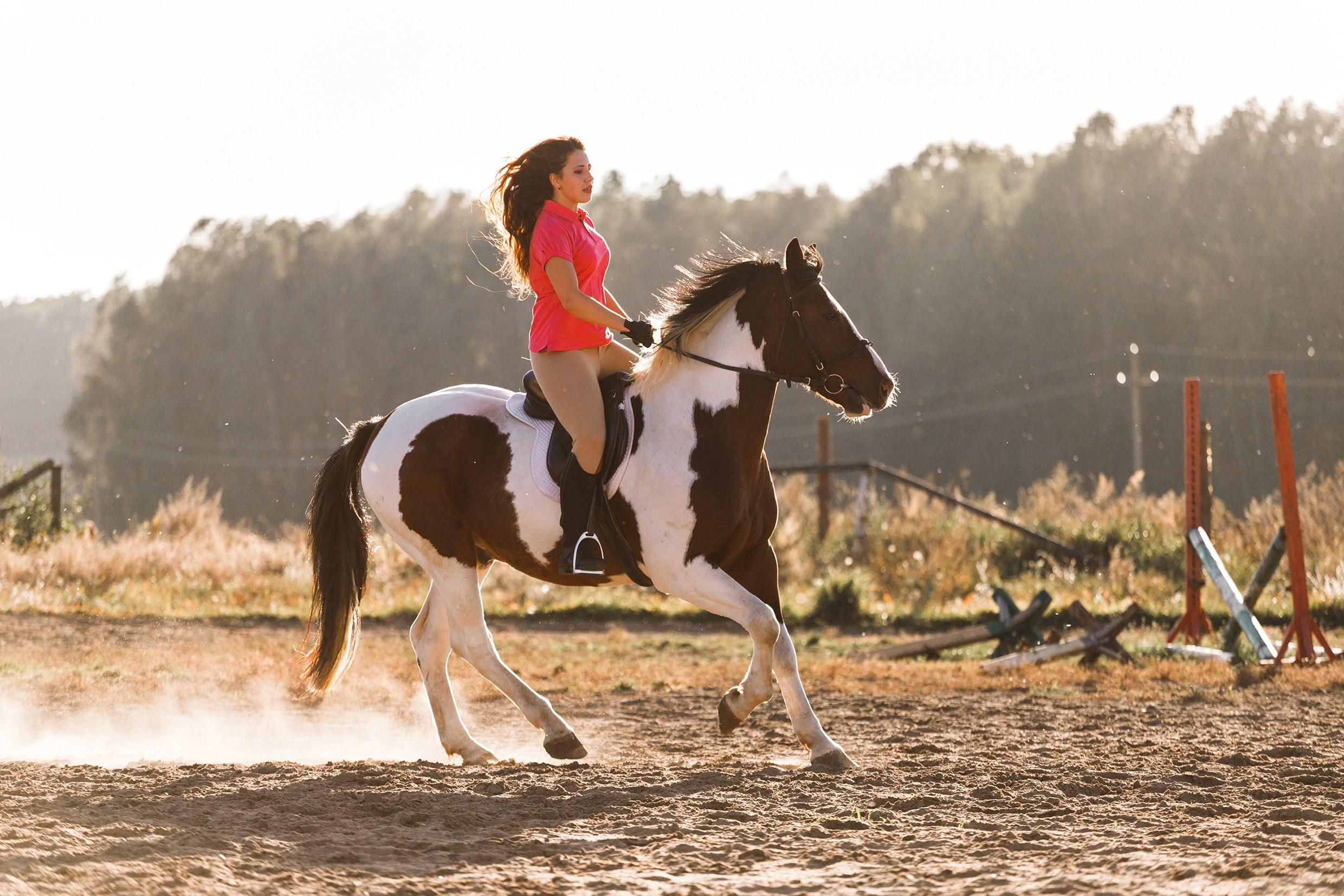Pegas & Maximus | portrait shooting. Kaja | fotograf we Wrocławiu | ludzie i psy