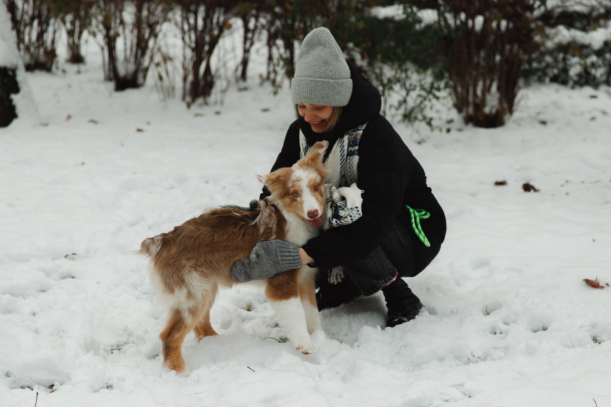 Fotografia psów Wrocław. Kaja | fotograf we Wrocławiu | ludzie i psy