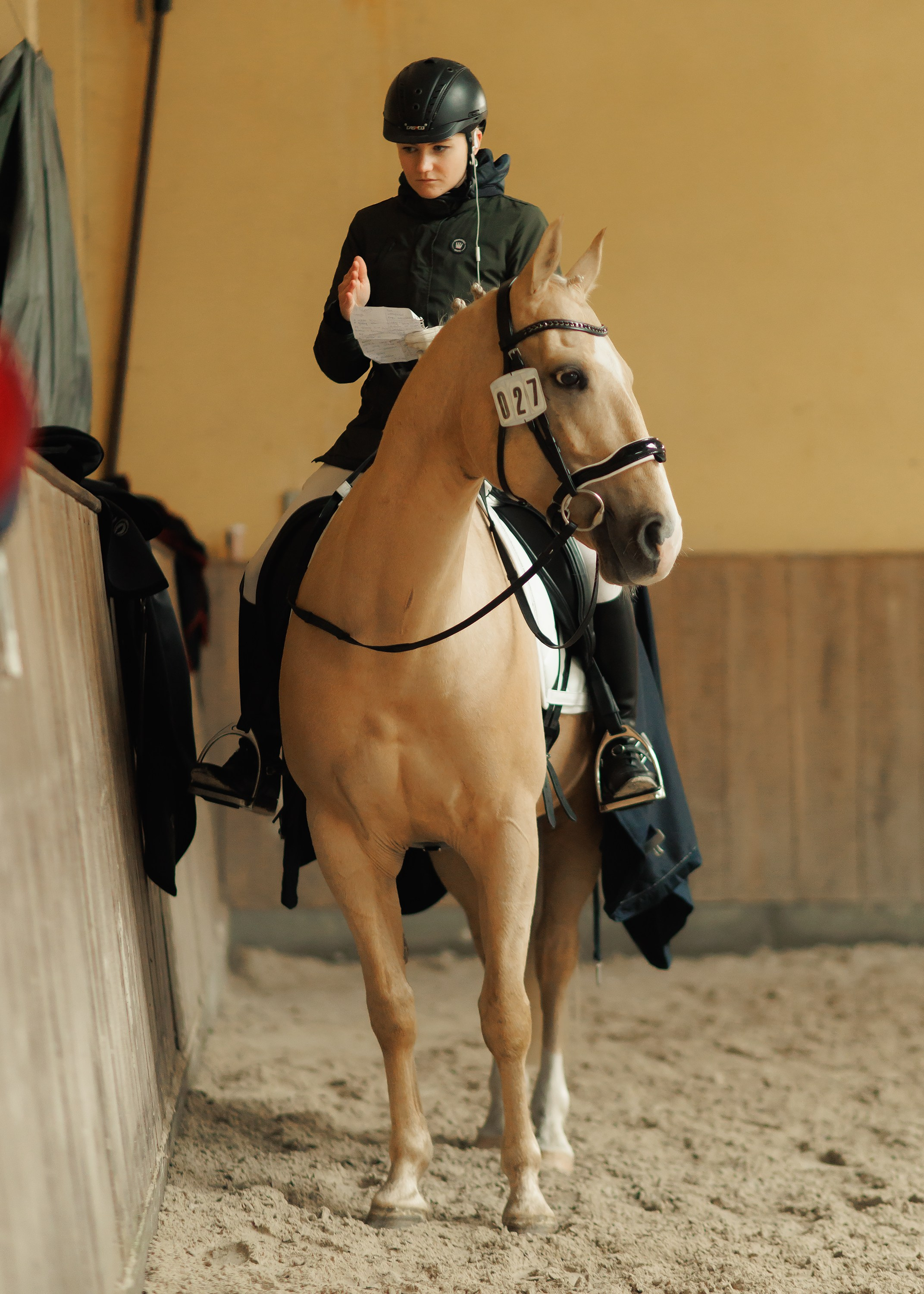 Partynice dressage \ feb'25. Kaja | fotograf we Wrocławiu | ludzie i psy