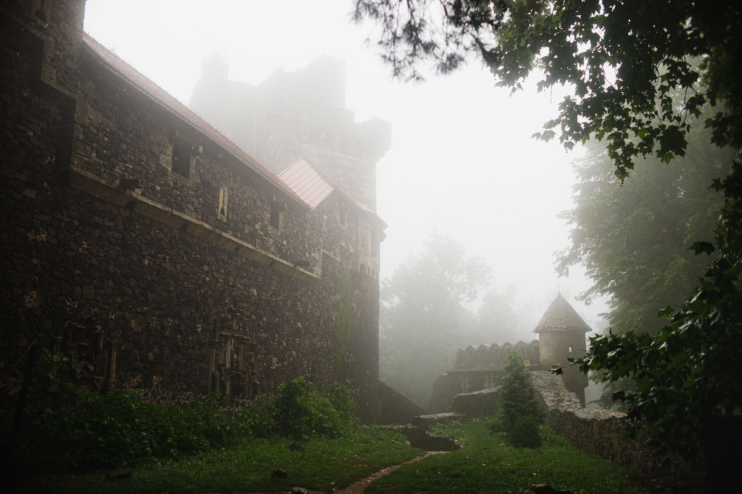 Zamek Grodziec. Kaja | fotograf psów we Wrocławiu