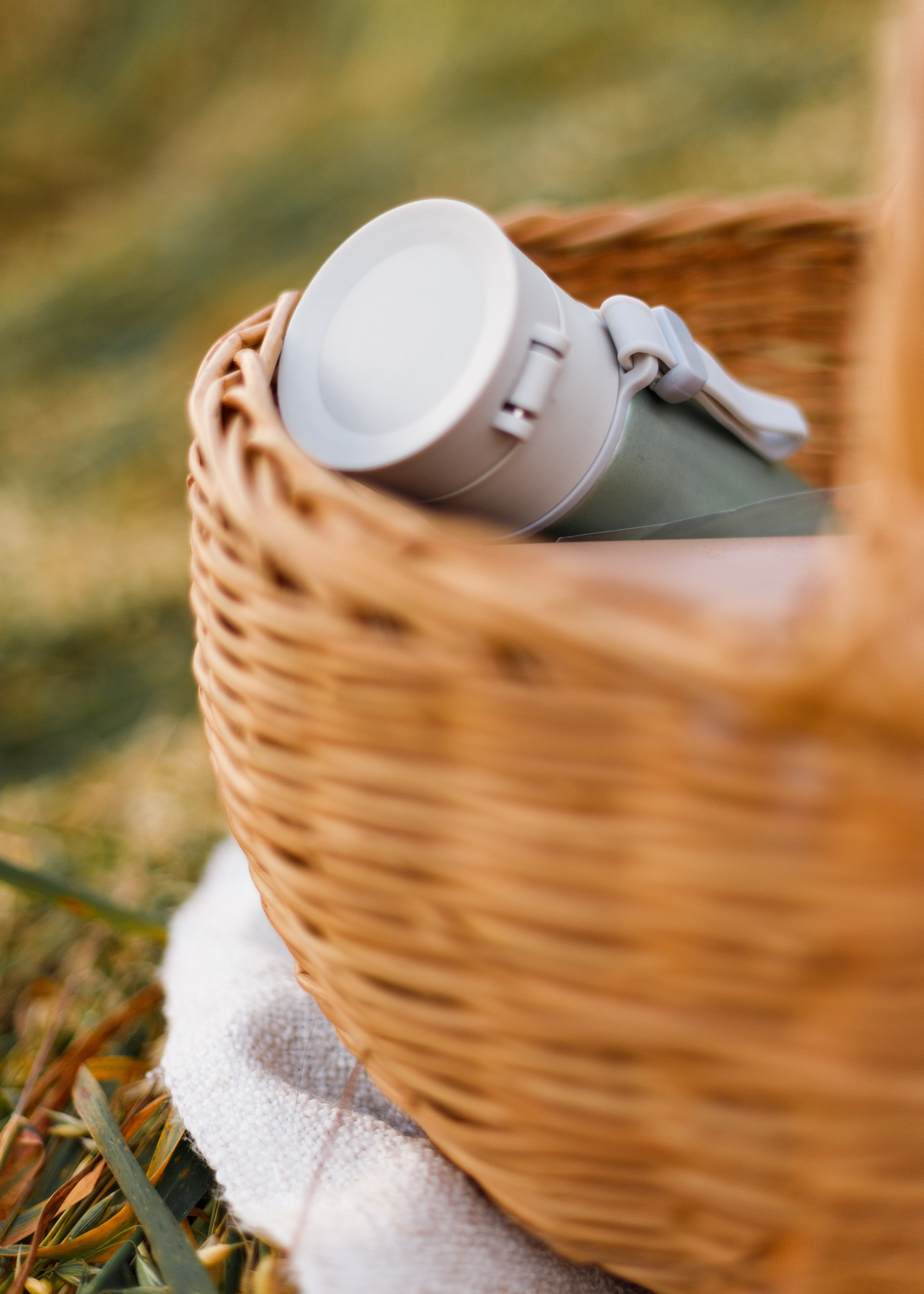 Katya | tenderness in the field. Kaja | fotograf psów we Wrocławiu