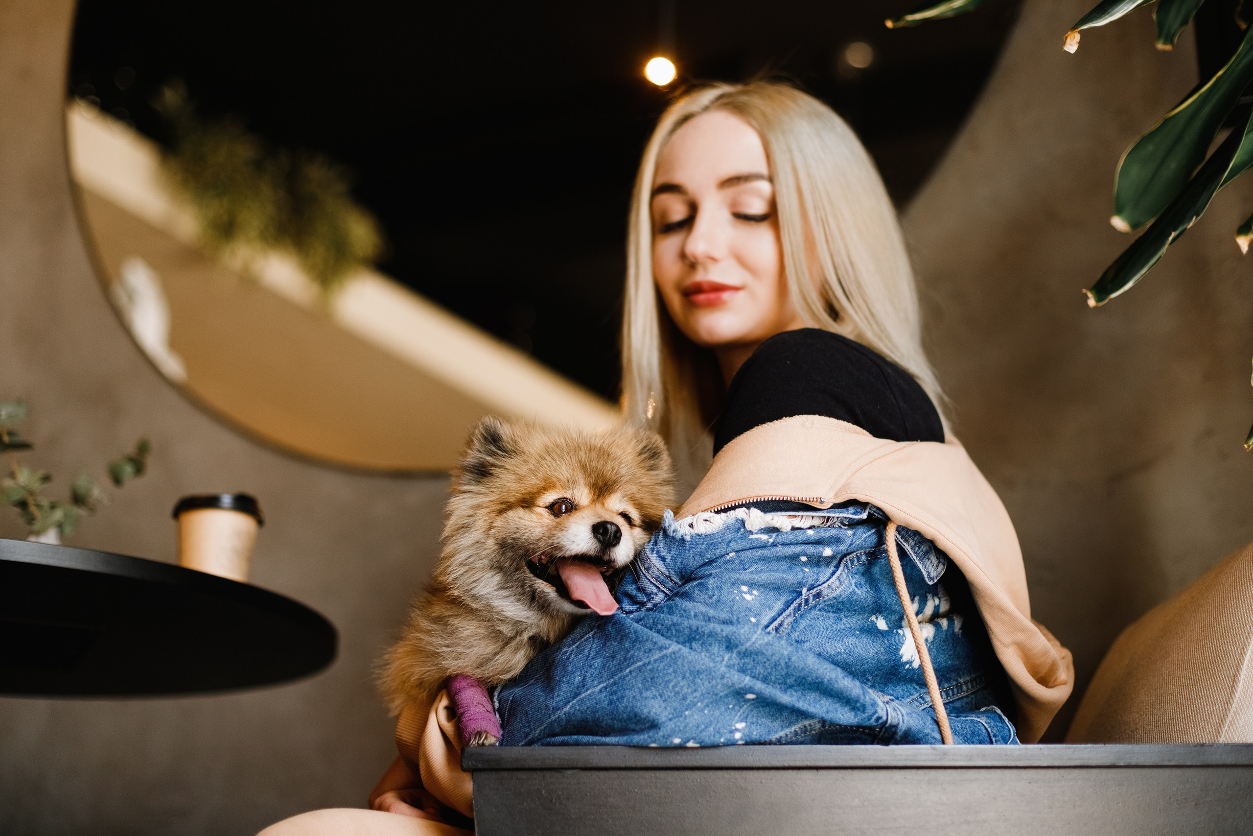 Dog trainer blog content. Kaja | fotograf we Wrocławiu | ludzie i psy