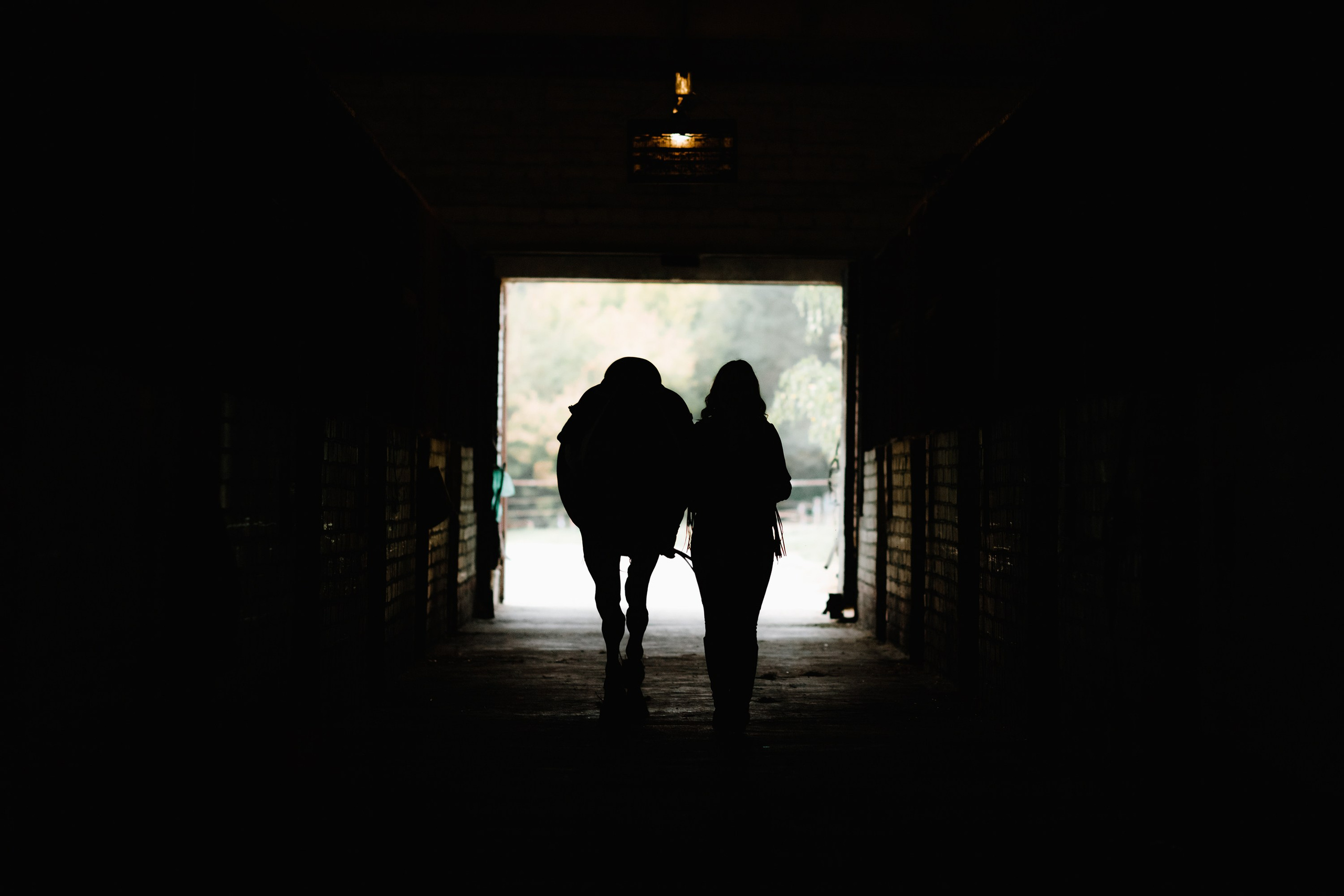 Victoria & her horses, autumn. Kaja | fotograf psów we Wrocławiu