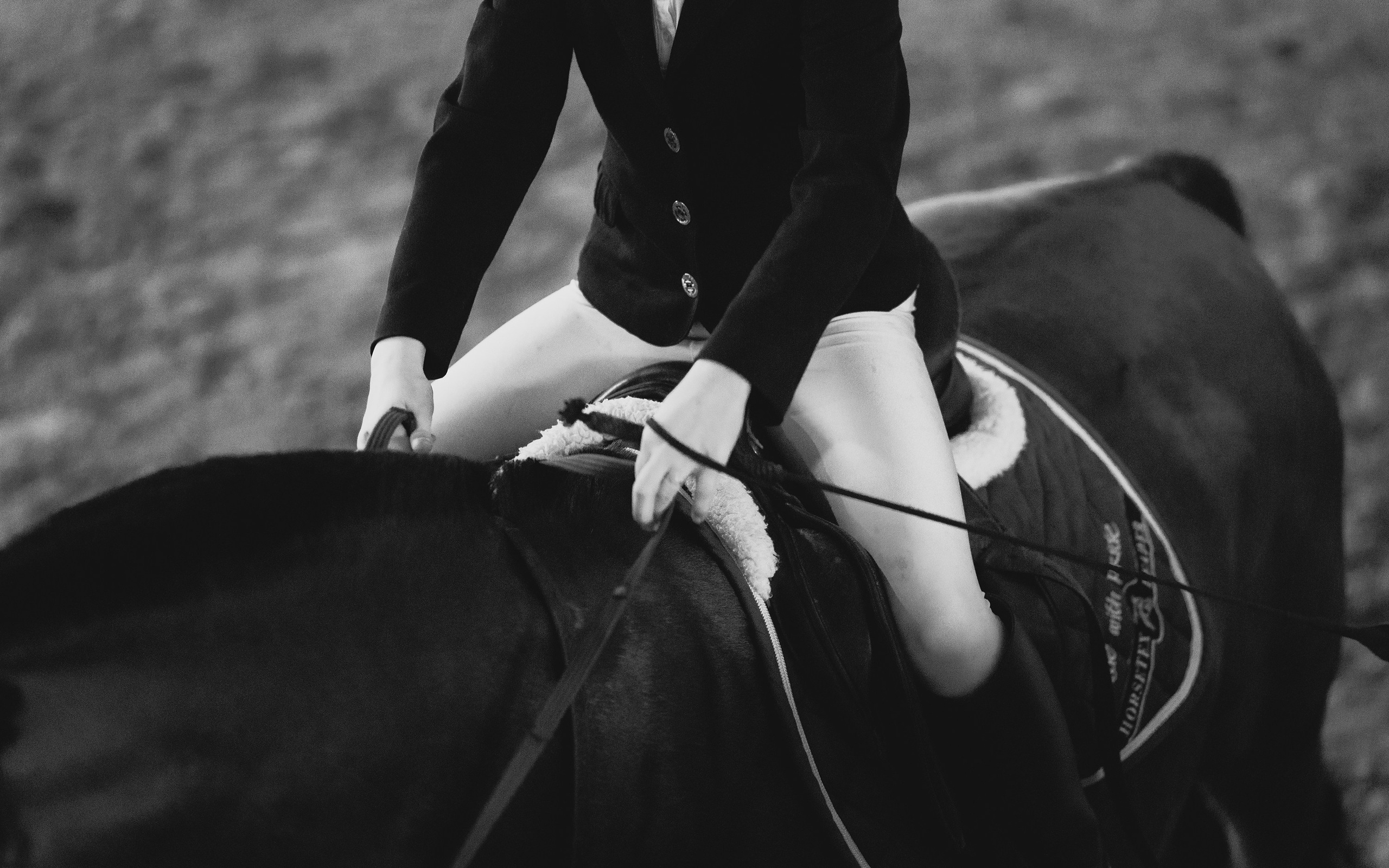 Winter show jumping in «Progress». Kaja | fotograf we Wrocławiu | ludzie i psy