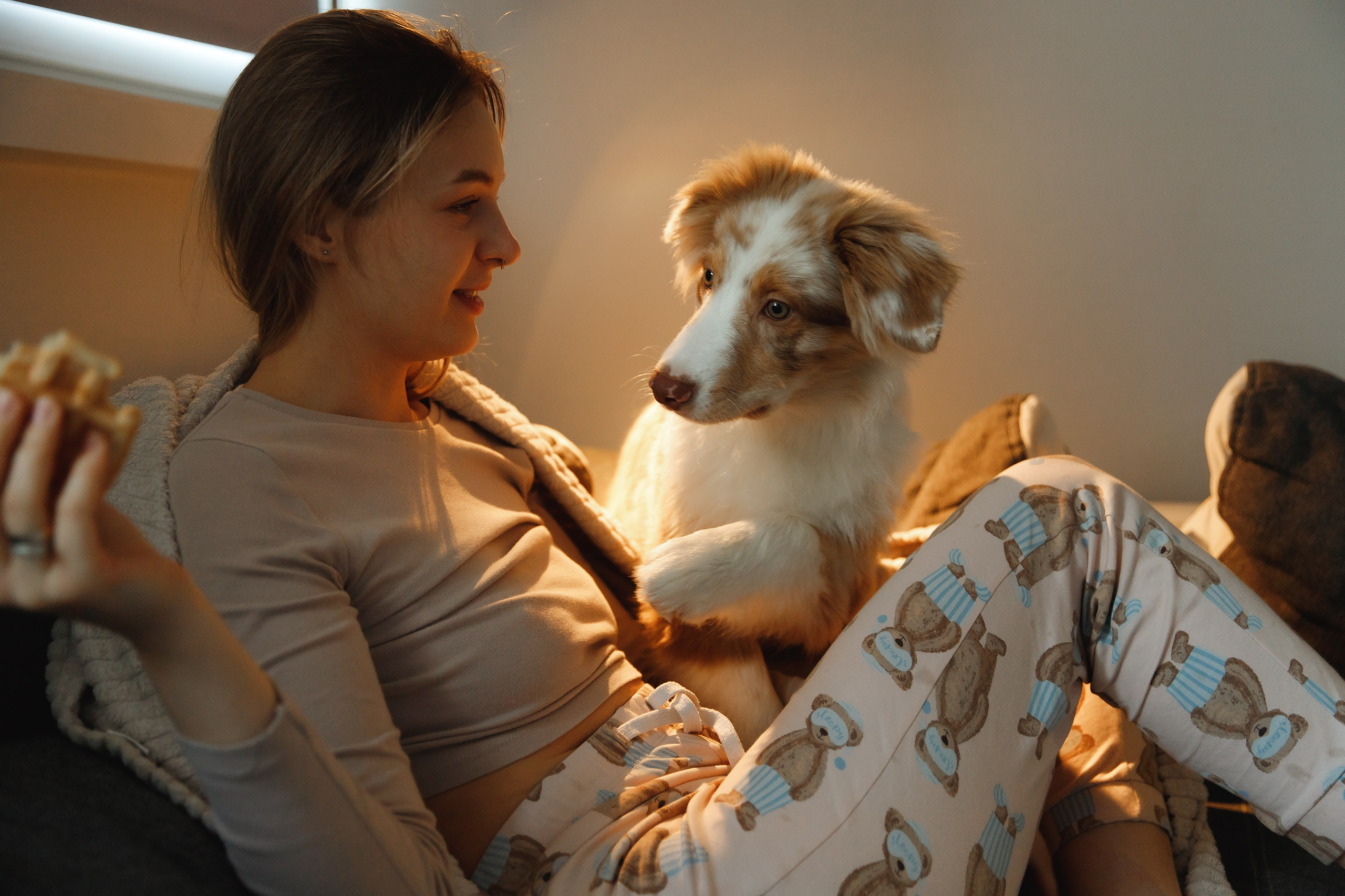 Fotografia psów Wrocław. Kaja | fotograf we Wrocławiu | ludzie i psy