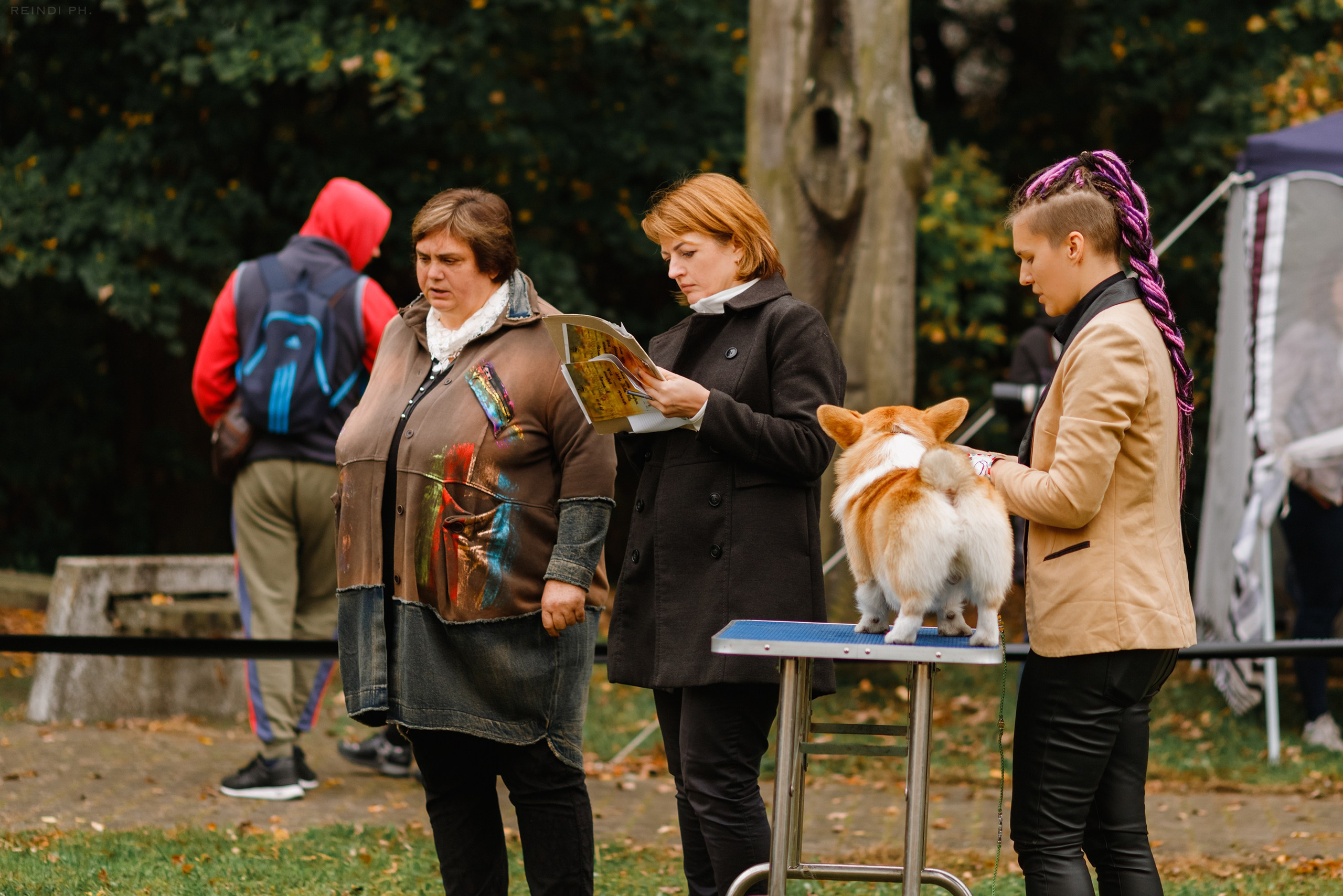 «Argus» dog show in Brest. Kaja | fotograf we Wrocławiu | ludzie i psy