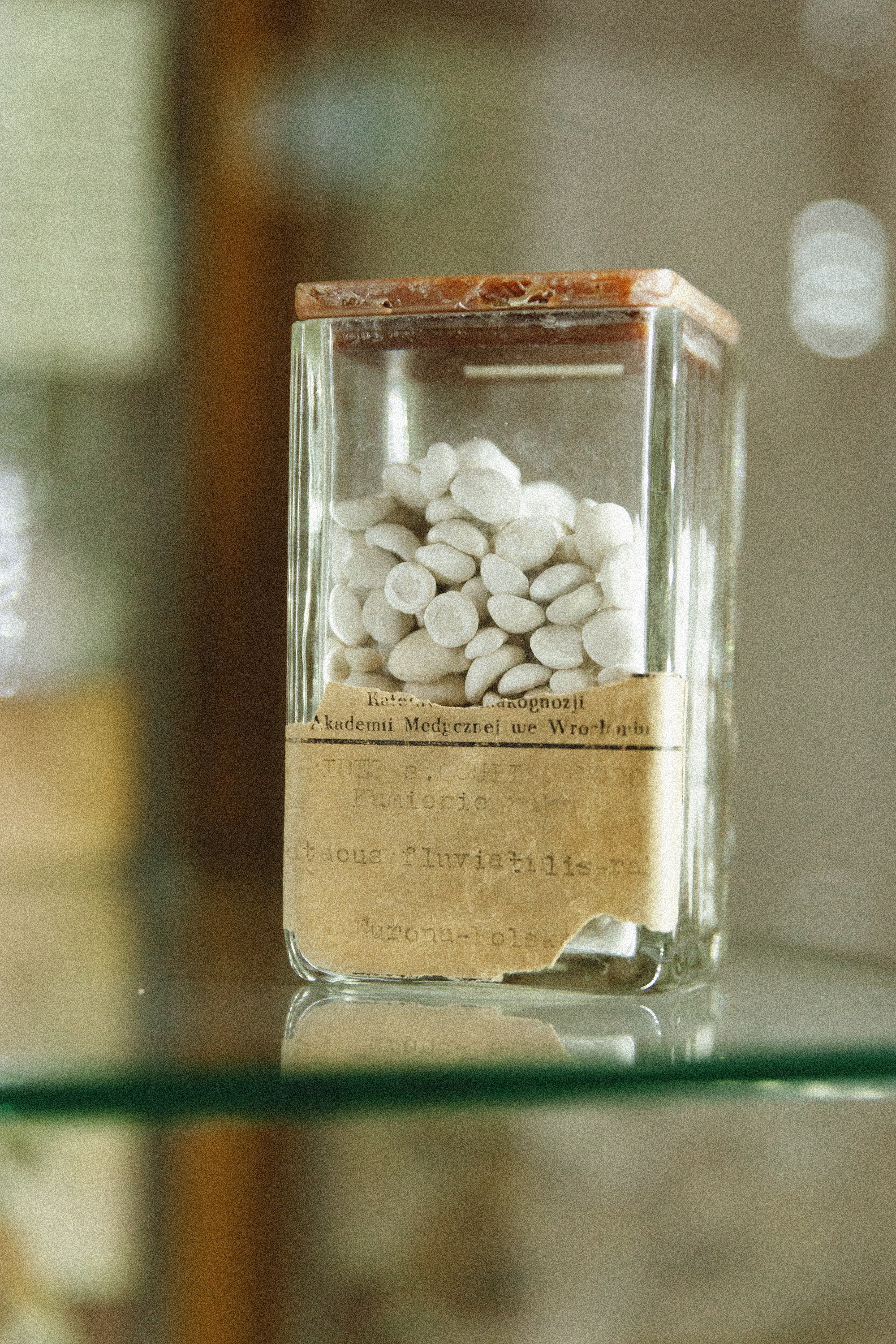 Museum of farmacy in Wroclaw. Kaja | fotograf we Wrocławiu | ludzie i psy