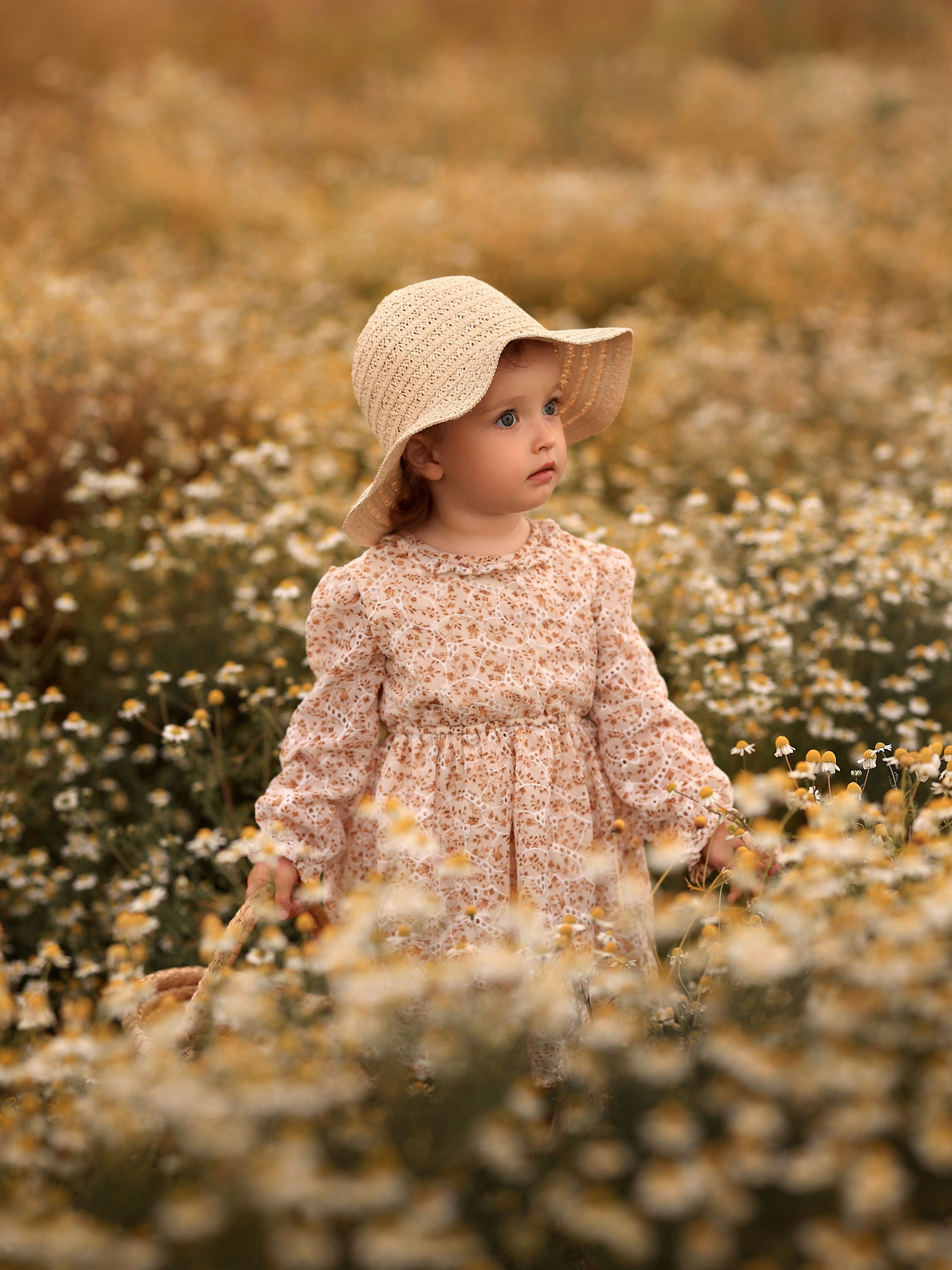 Kinderfotografie Kinderfotograf Norden Aurich Emden. Familien- Fotografin in Marienhafe, Aurich, Emden, Norden, Leer