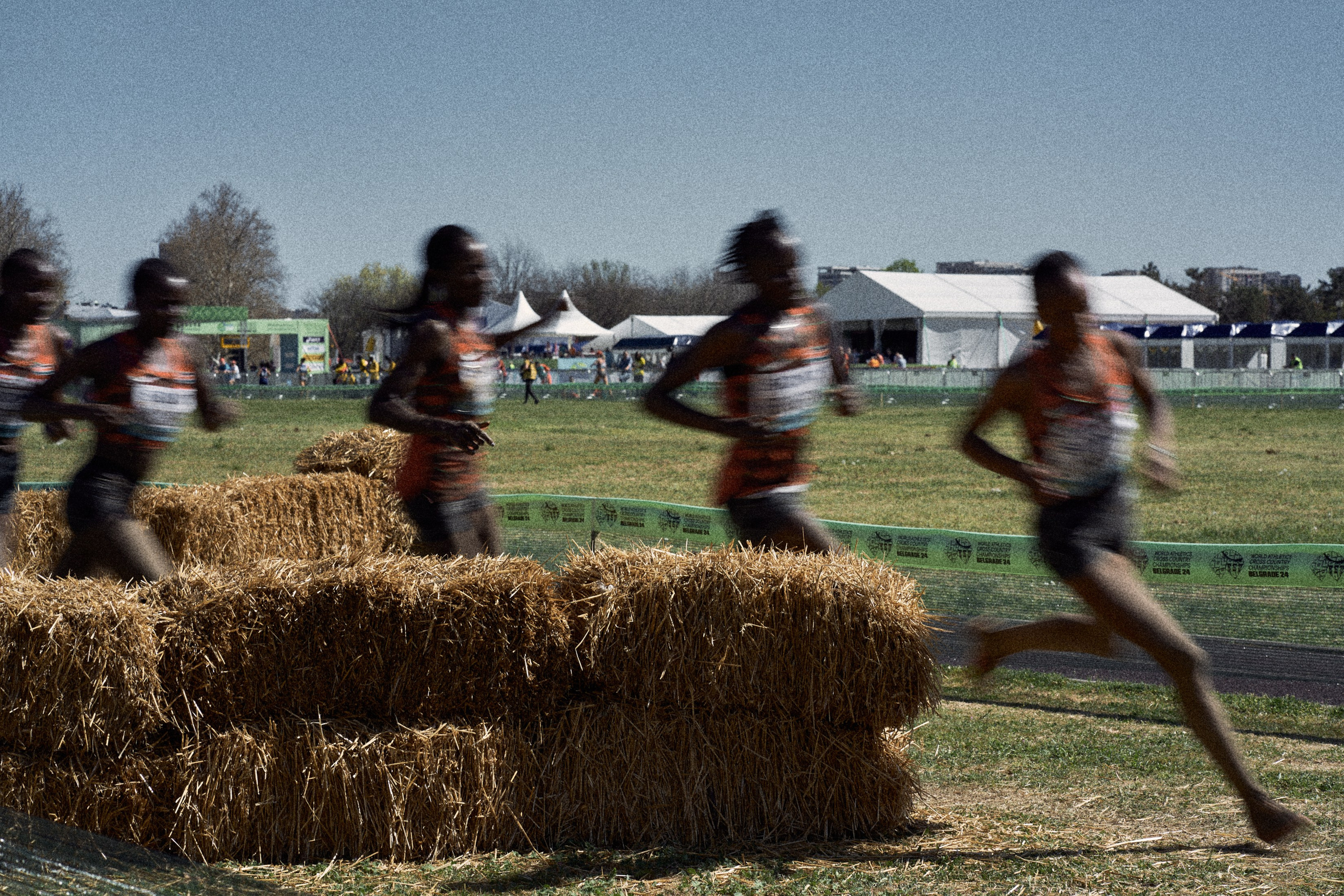 Cross Country Championship 2024 #running. Photographer Evgeniya Dovgalyuk