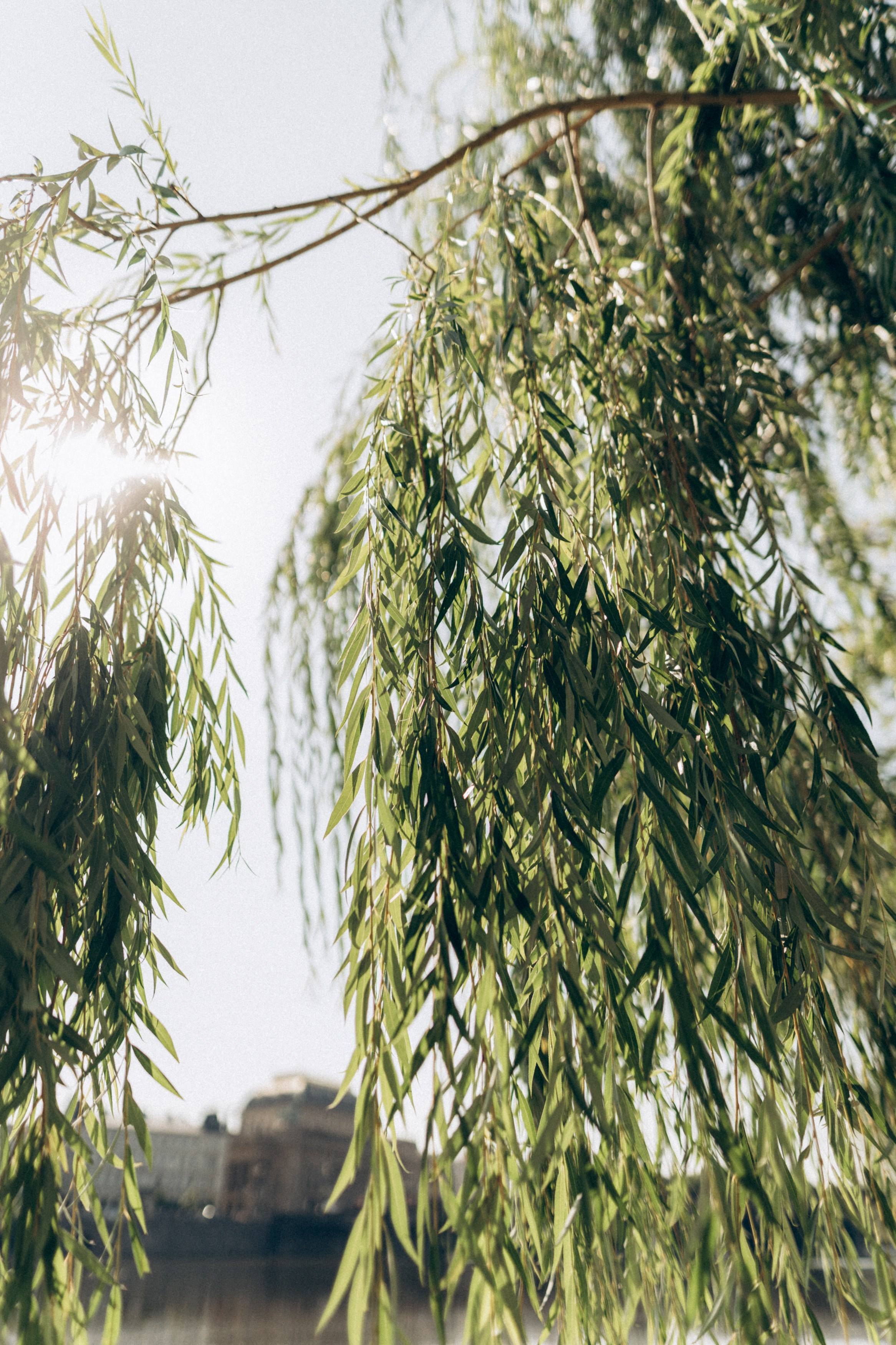 . Фотограф в Праге Анна Лебедева