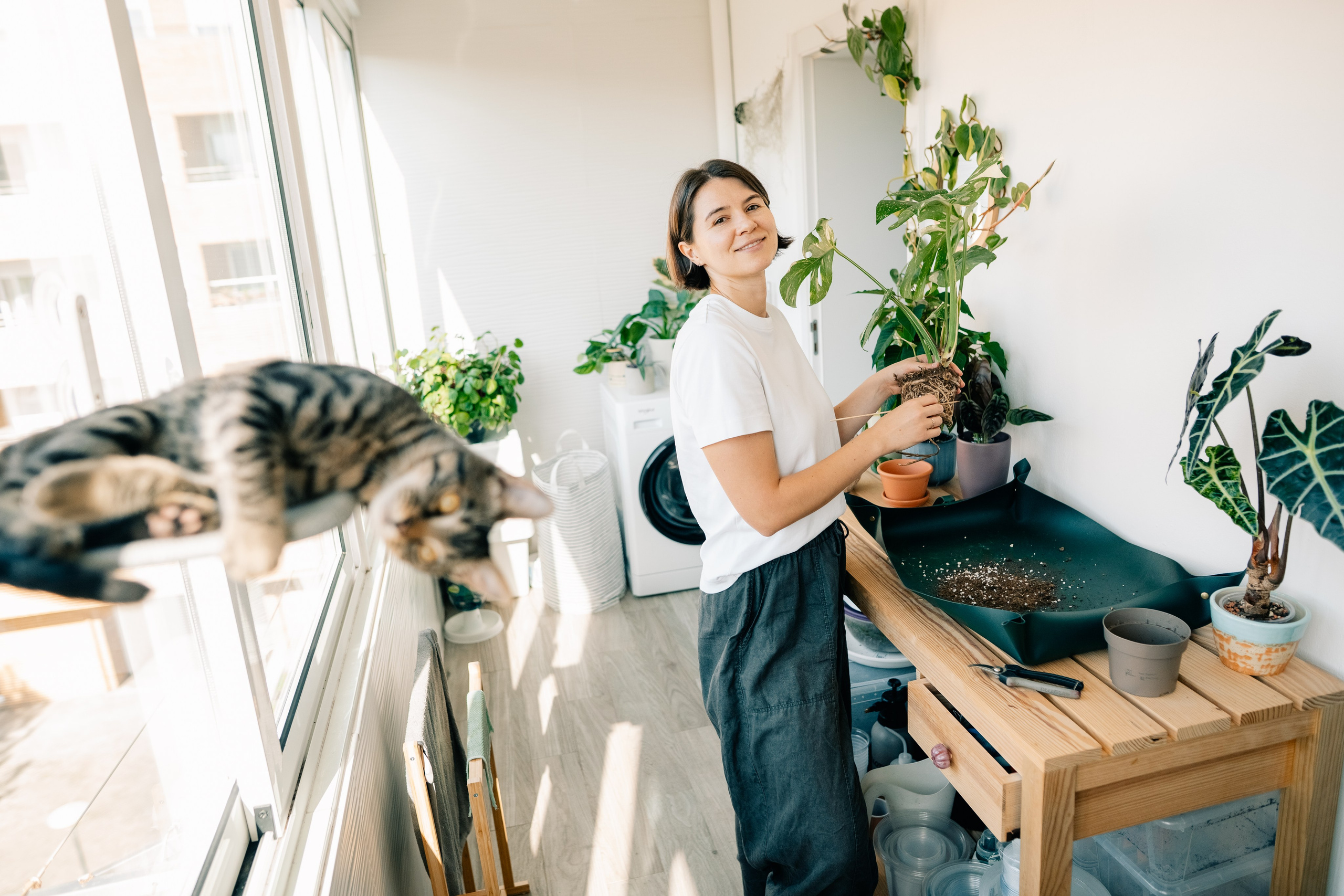 No Drama Plants. Maria Sher. Fotógrafa profissional do Porto, Portugal