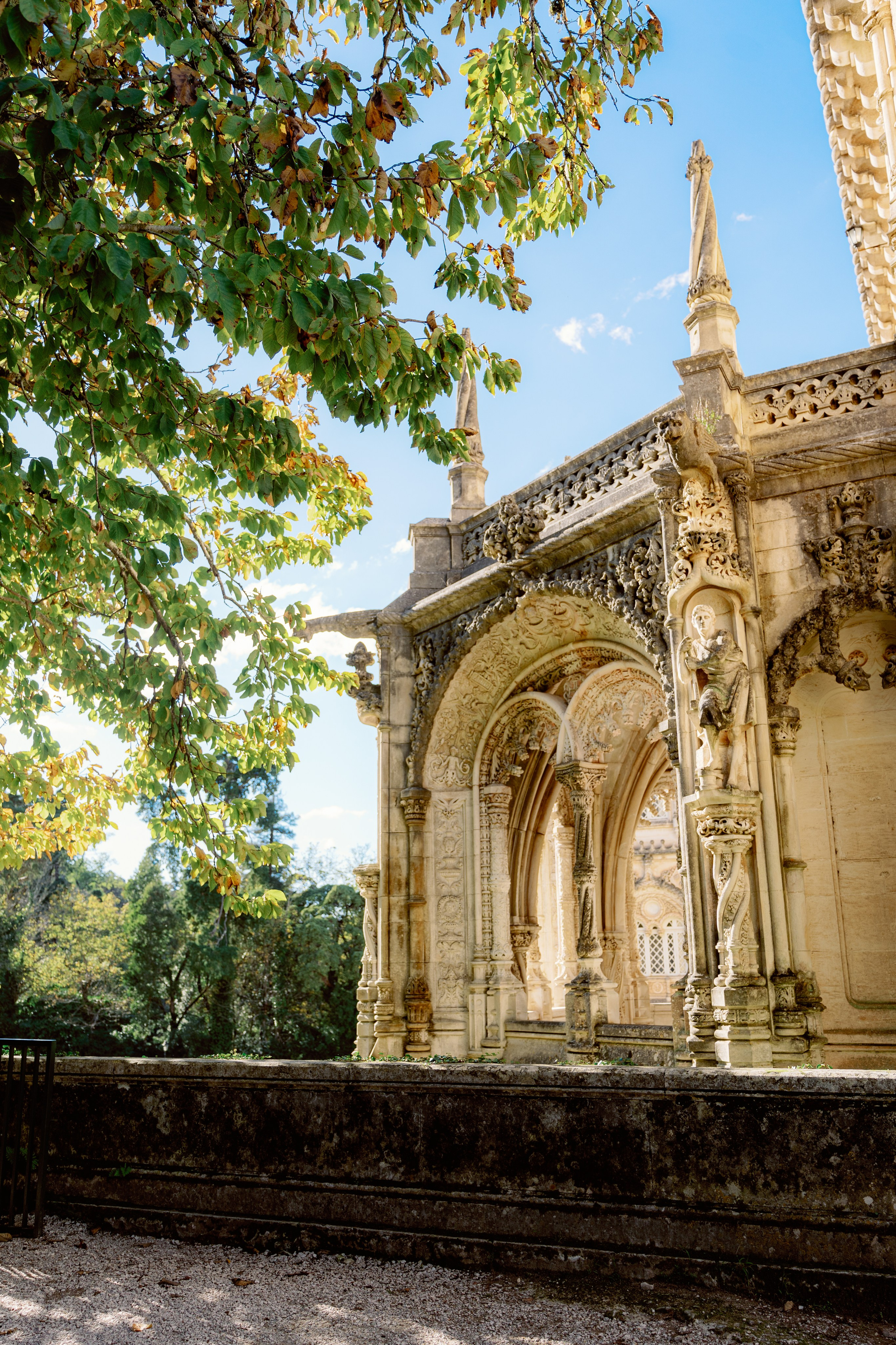 Бусаку — скрытая жемчужина Байррады