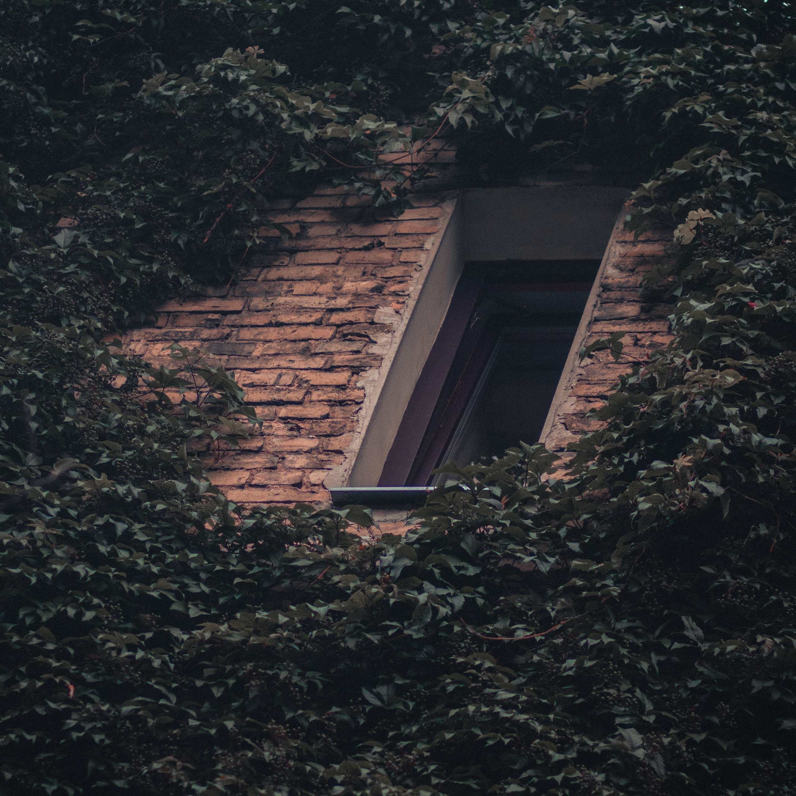 Street. Portrait and Street photographer in Vilnius Edgar Shaipunas