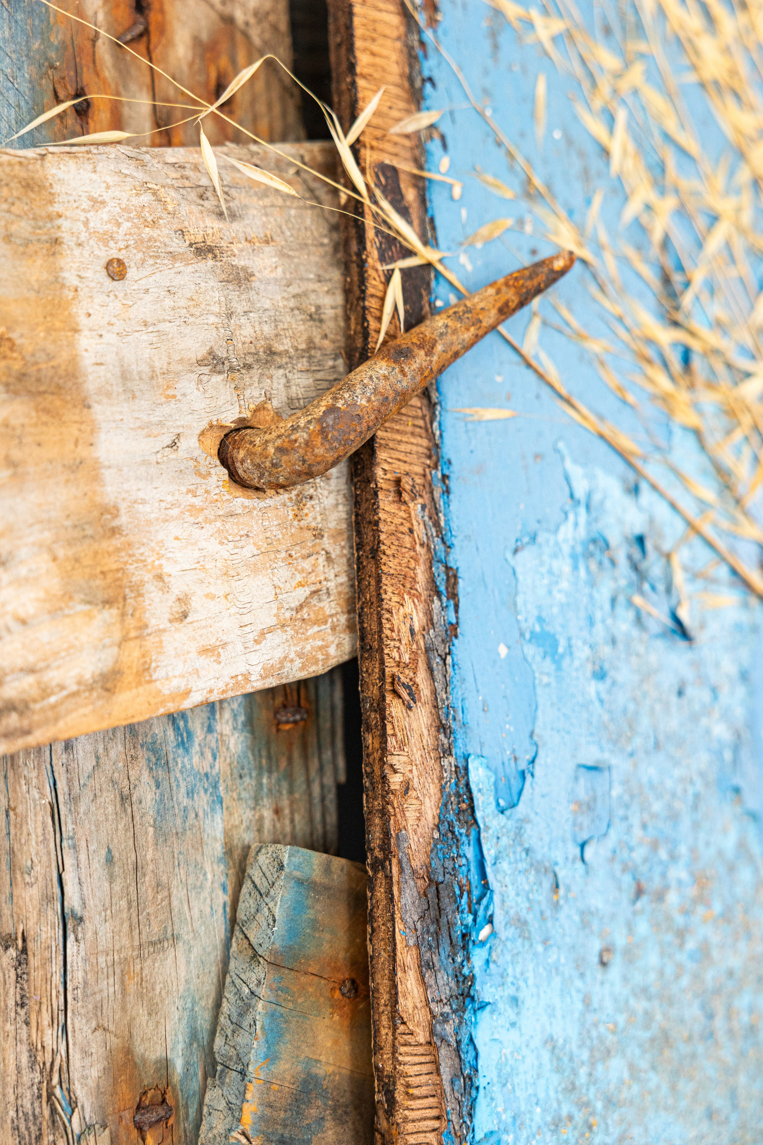 Nature morte. Anne-Flore REY, Artist — Painter and Sculptor in TOULOUSE (FR)