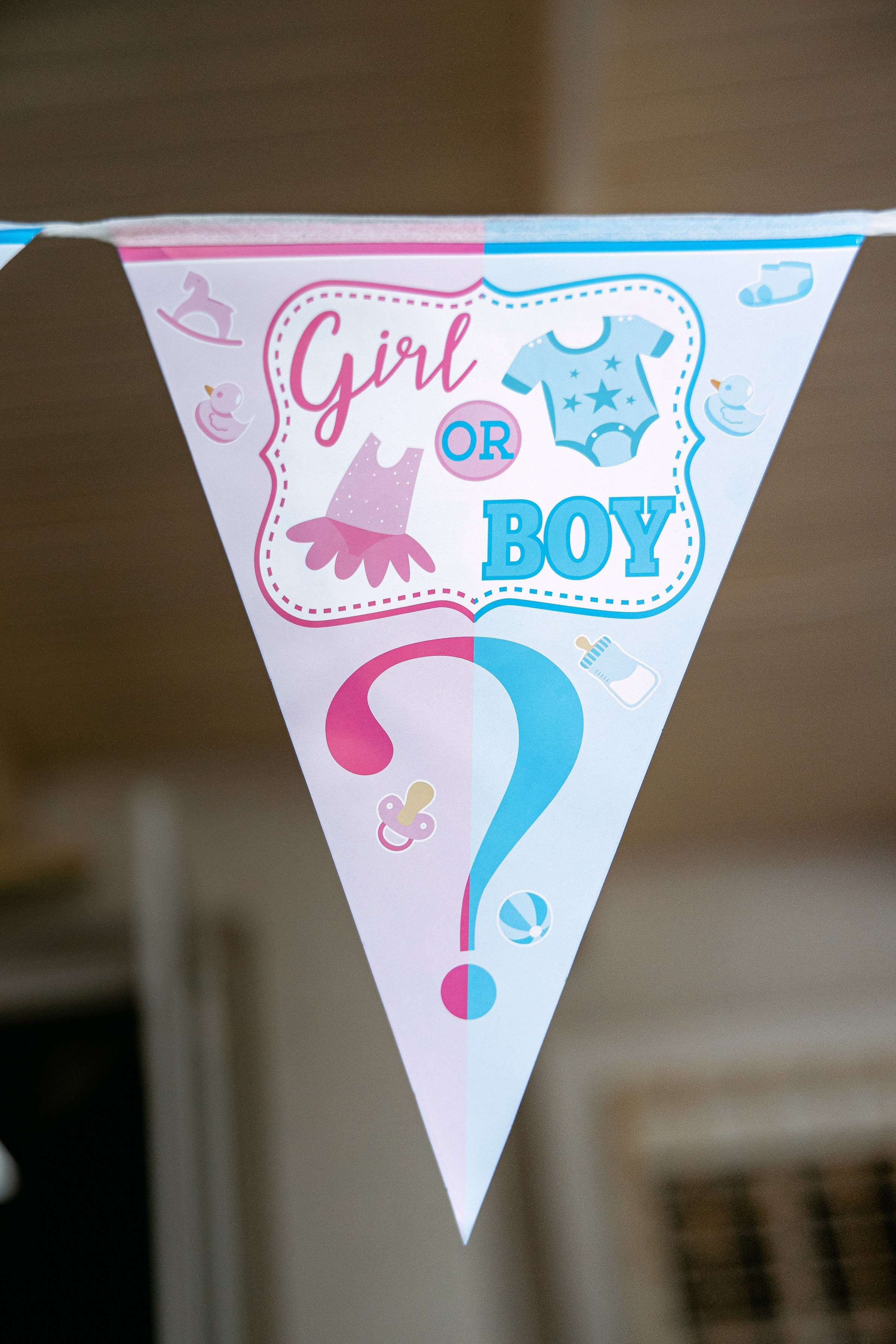 Gender Party for Alina and Michael. Home