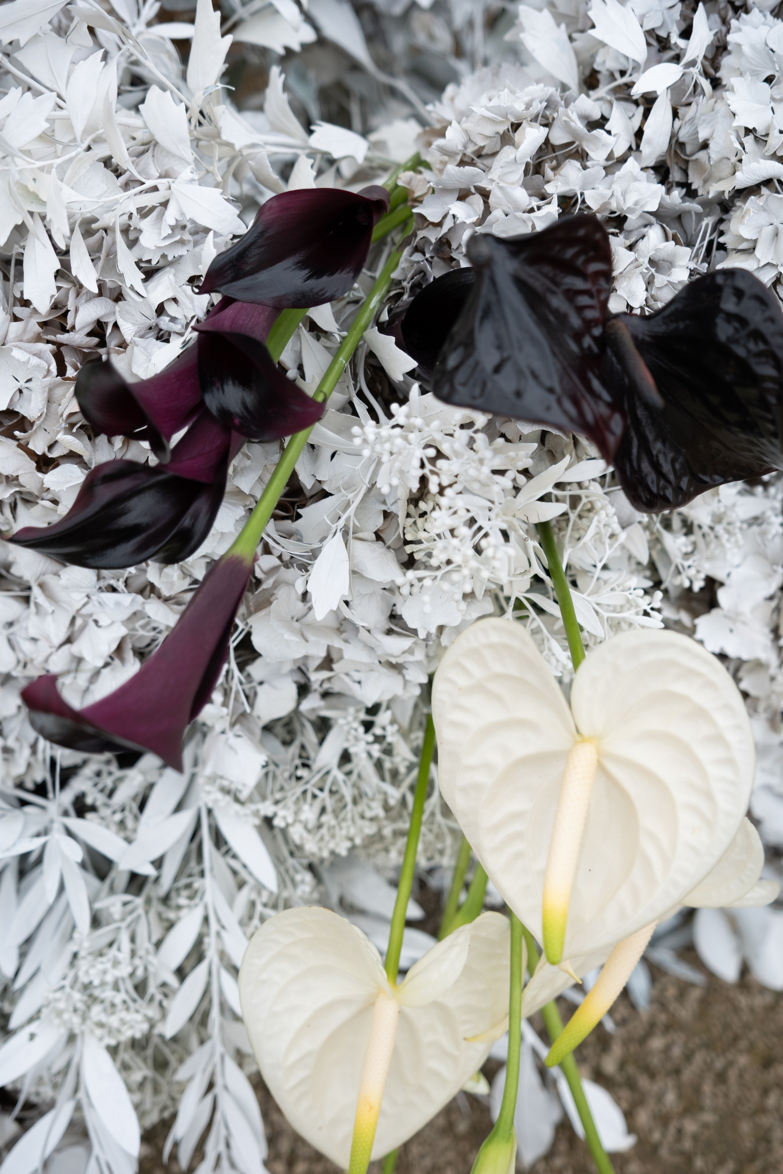 Portfolio. Wedding photography — EMU Photos