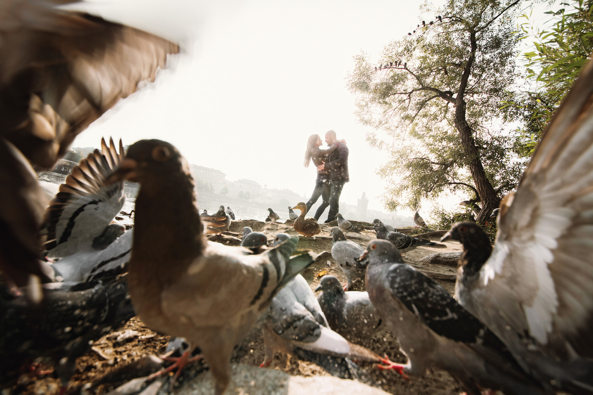 couple dancing among the birds