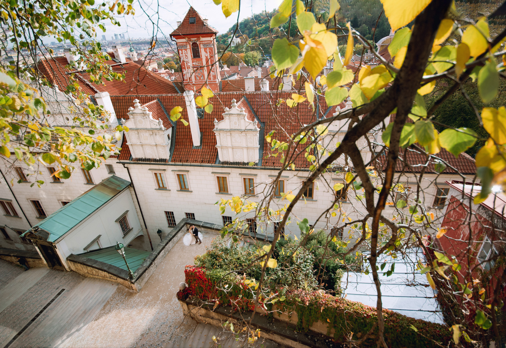 Wedding photos. Wedding and portrait photographer in Poland Vitali Frozen