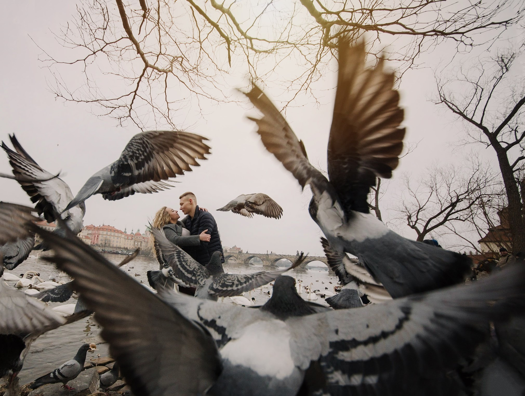 Wedding photos. Wedding and portrait photographer in Poland Vitali Frozen