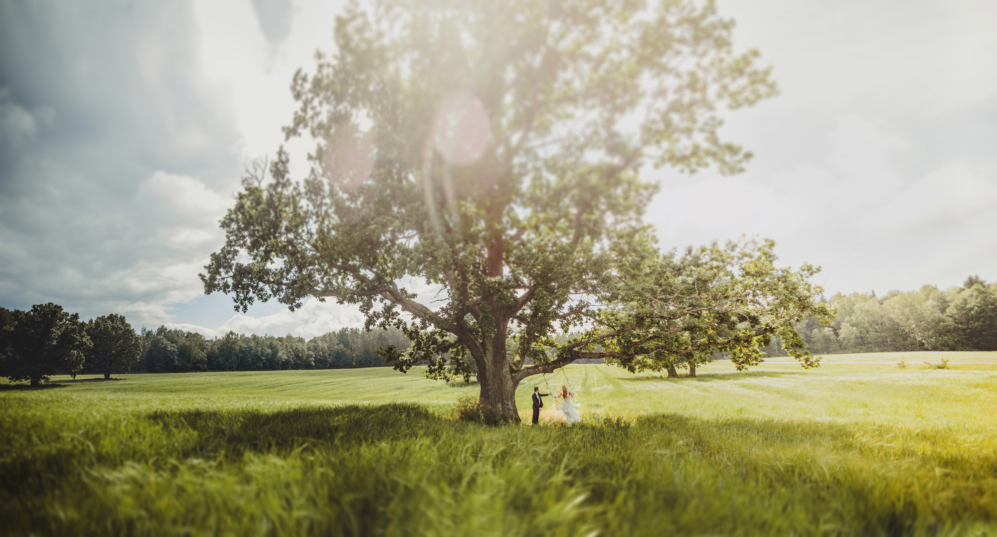 Wedding photos. Wedding and portrait photographer in Poland Vitali Frozen