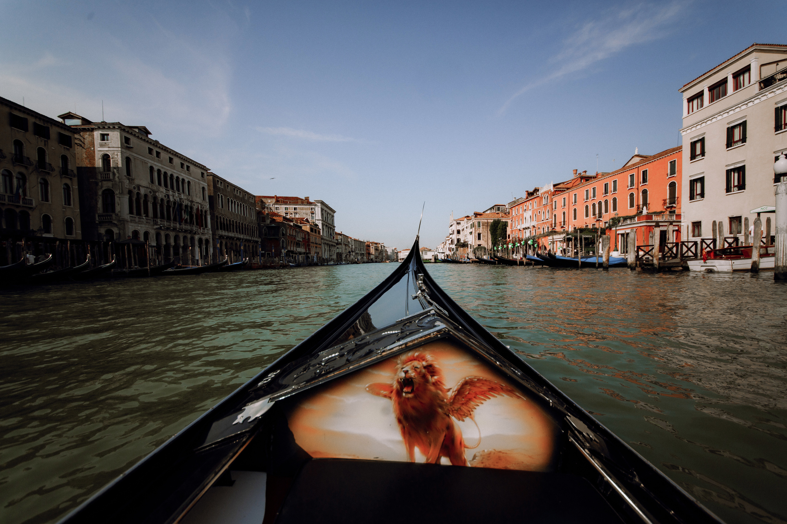 A&L elopement. Wedding and portrait photographer in Poland Vitali Frozen
