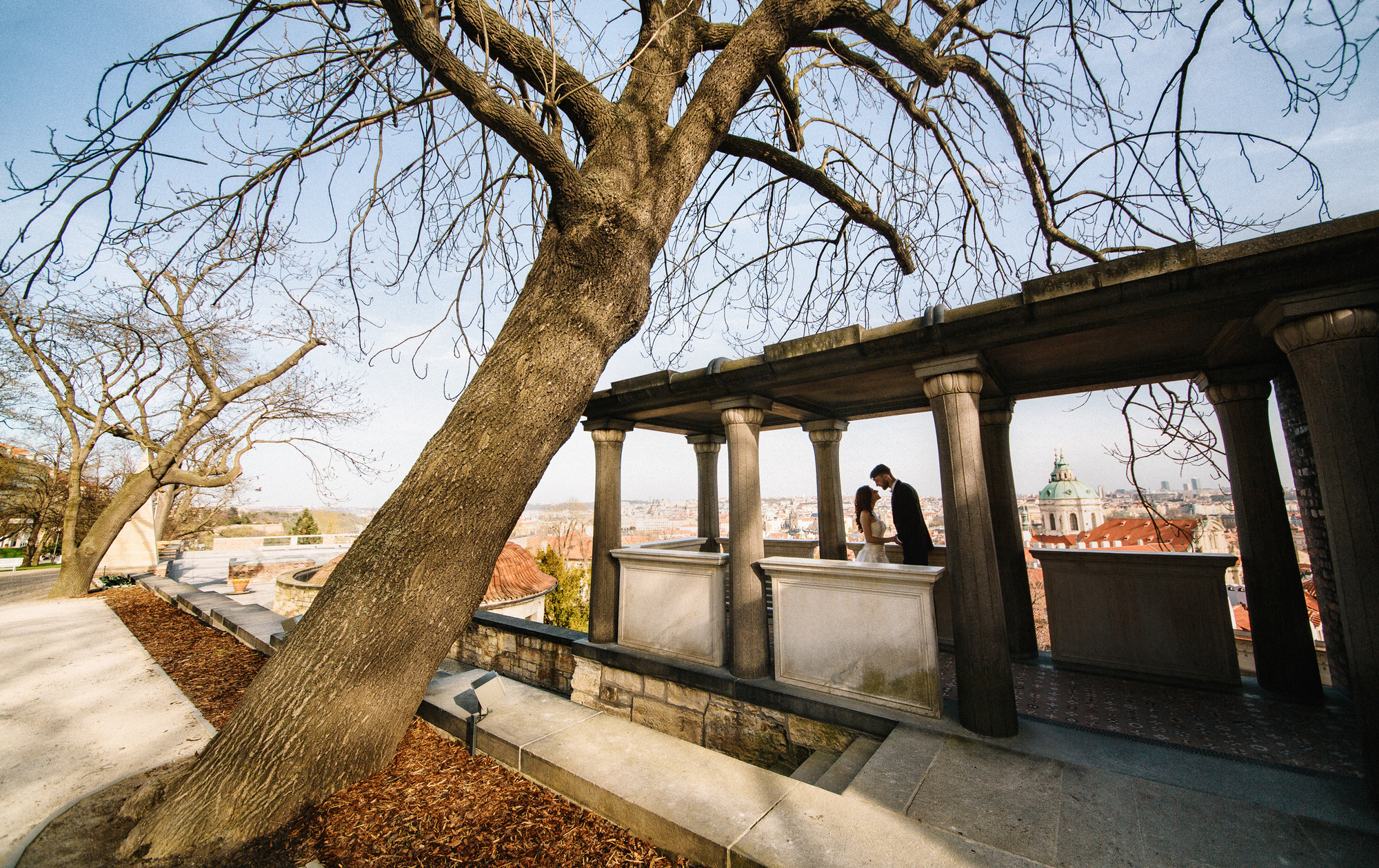 Wedding photos. Wedding and portrait photographer in Poland Vitali Frozen
