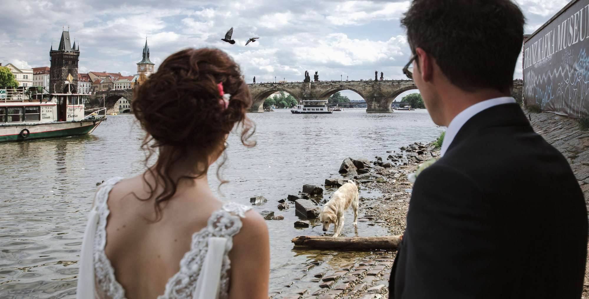 Wedding photos. Wedding and portrait photographer in Poland Vitali Frozen