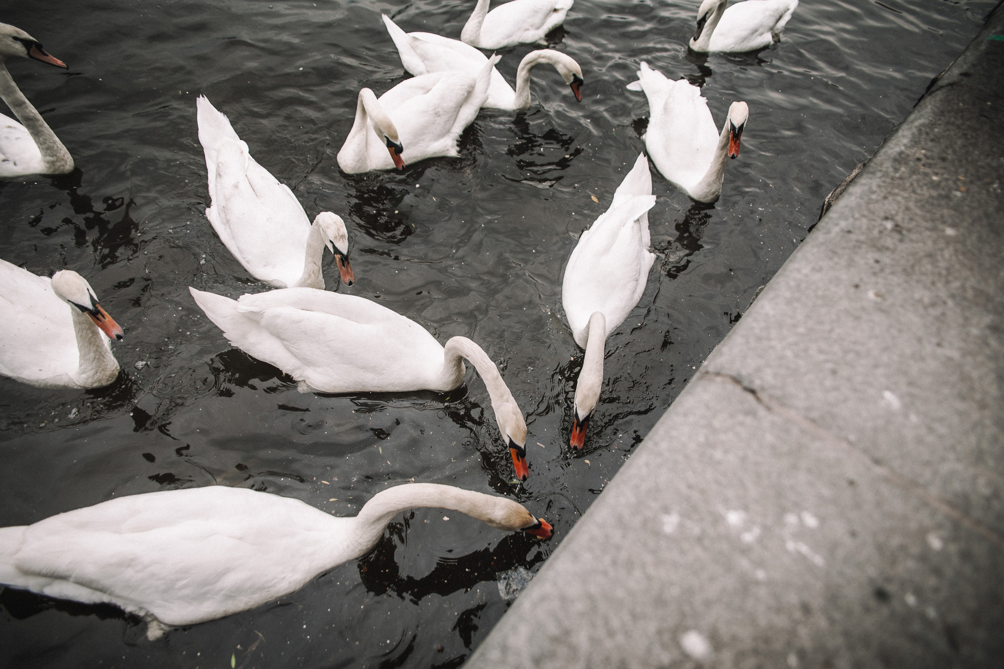 Love Story в Праге. Wedding and portrait photographer in Poland Vitali Frozen