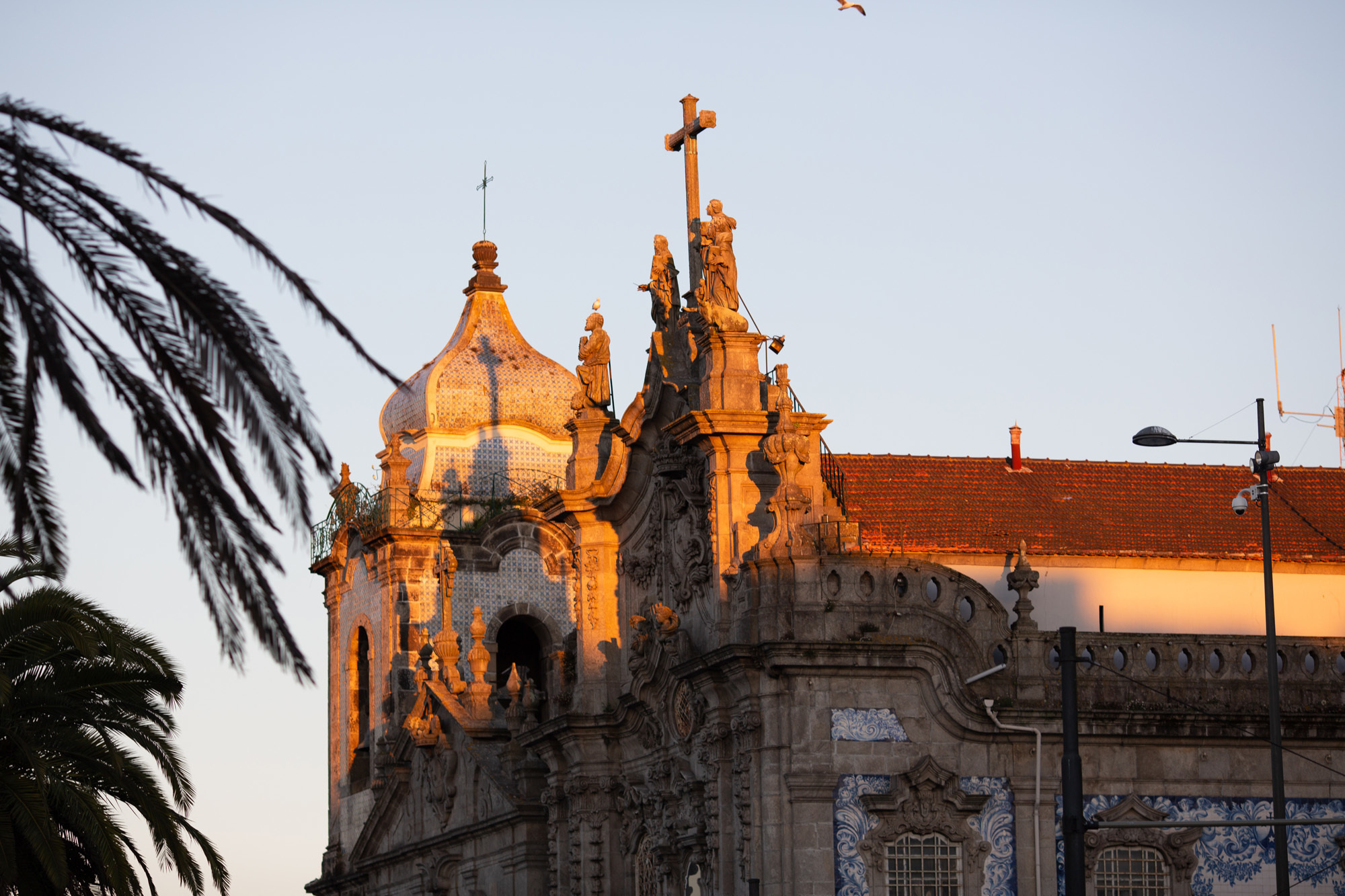 S&V wedding. Wedding and portrait photographer in Poland Vitali Frozen