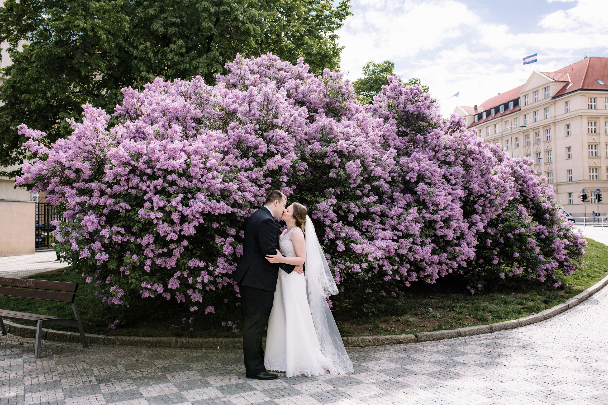 Feedback. Wedding and portrait photographer in Poland Vitali Frozen