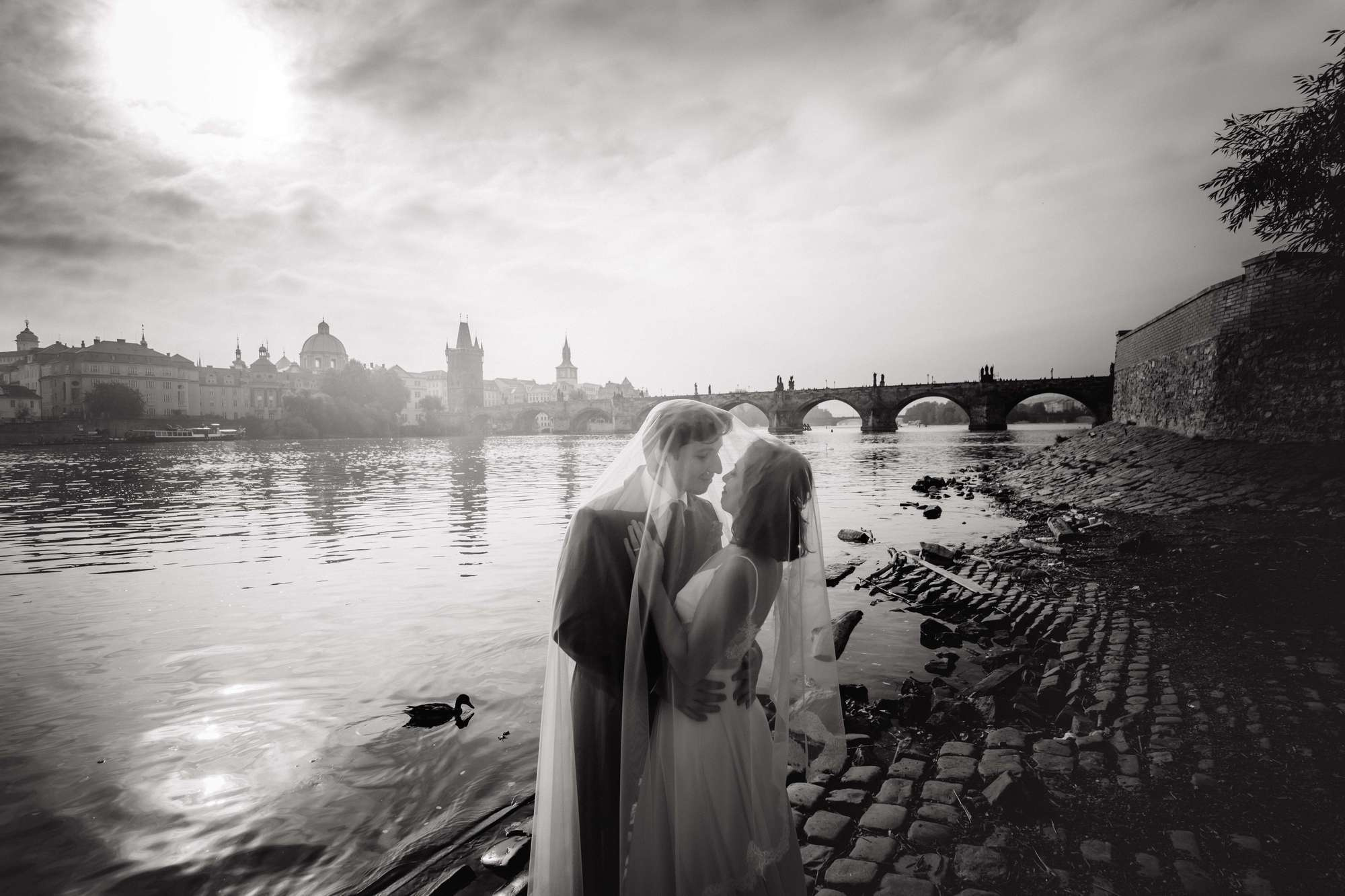 Wedding photos. Wedding and portrait photographer in Poland Vitali Frozen