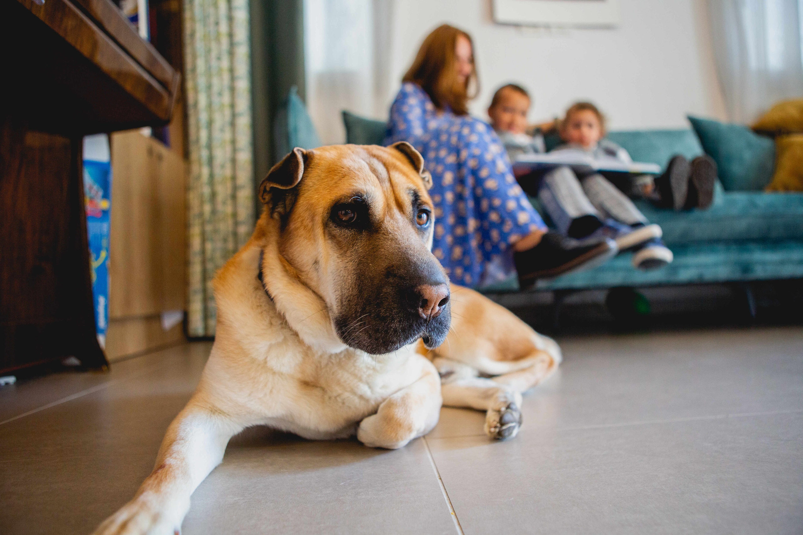 KIM FAMILY. Https://shi-photo.com/