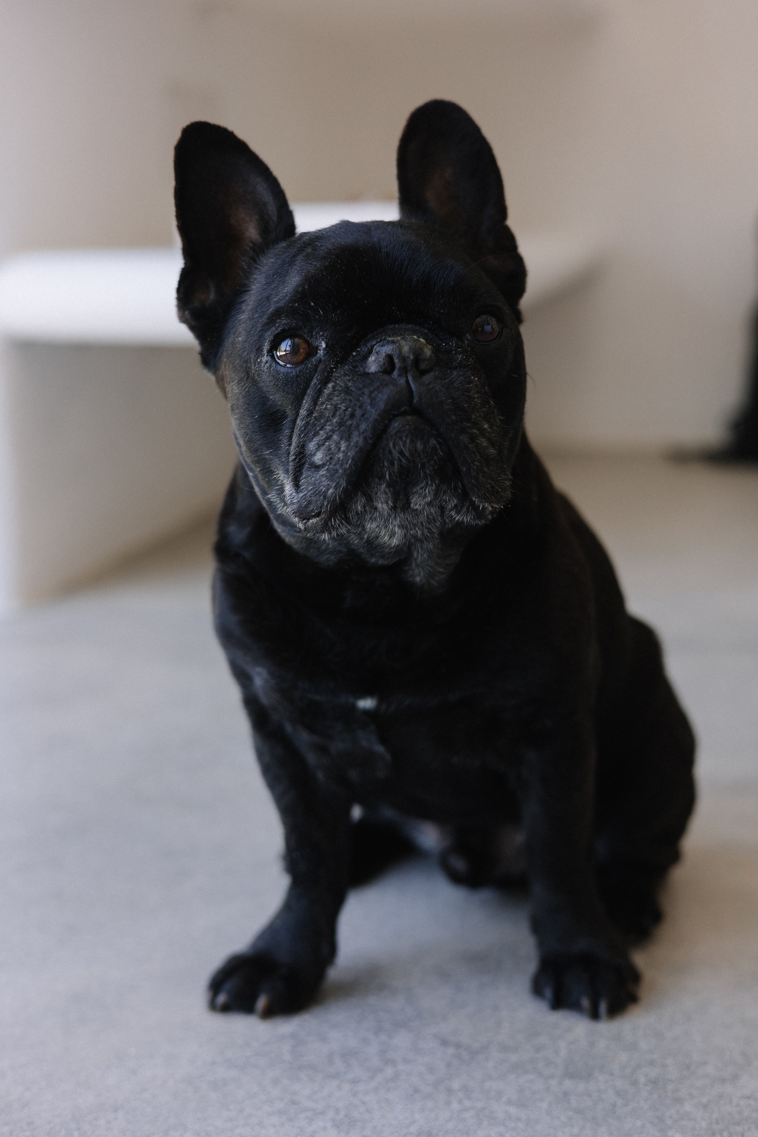 Playa Careyes, Casa Tauro. Wedding photographer Mexico Sayulita Puerto Vallarta Punta Mita Cabo