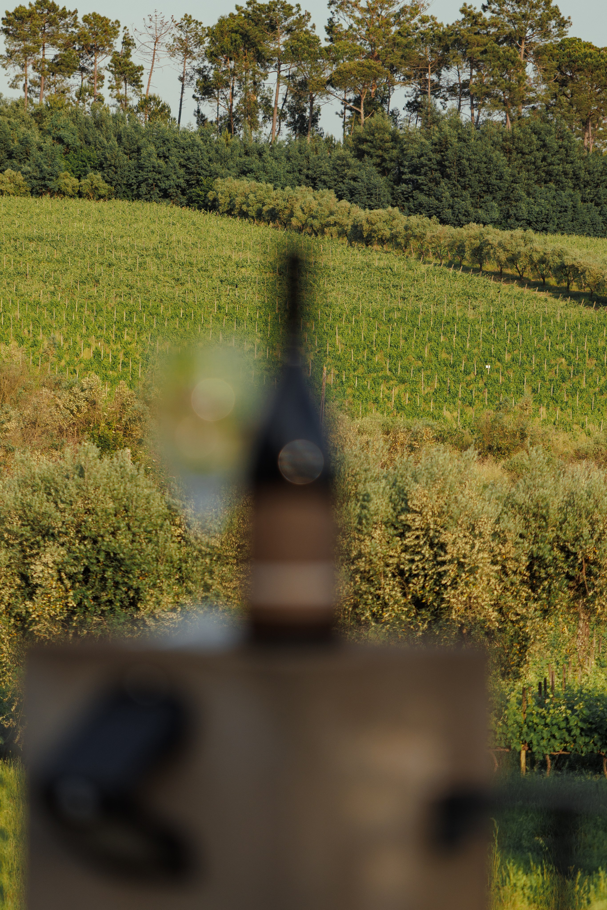 QUINTA CHÃO DE SÃO FRANCISCO. ESTUDIO DOZE