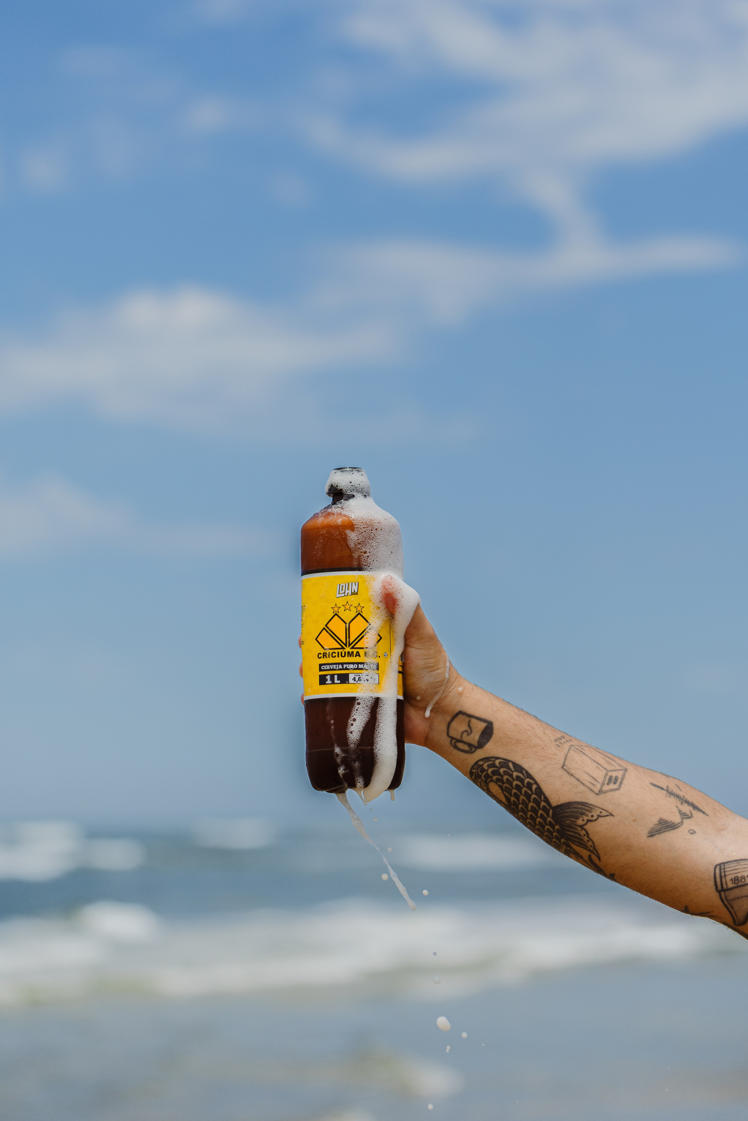 Lohnbier. ESTUDIO DOZE