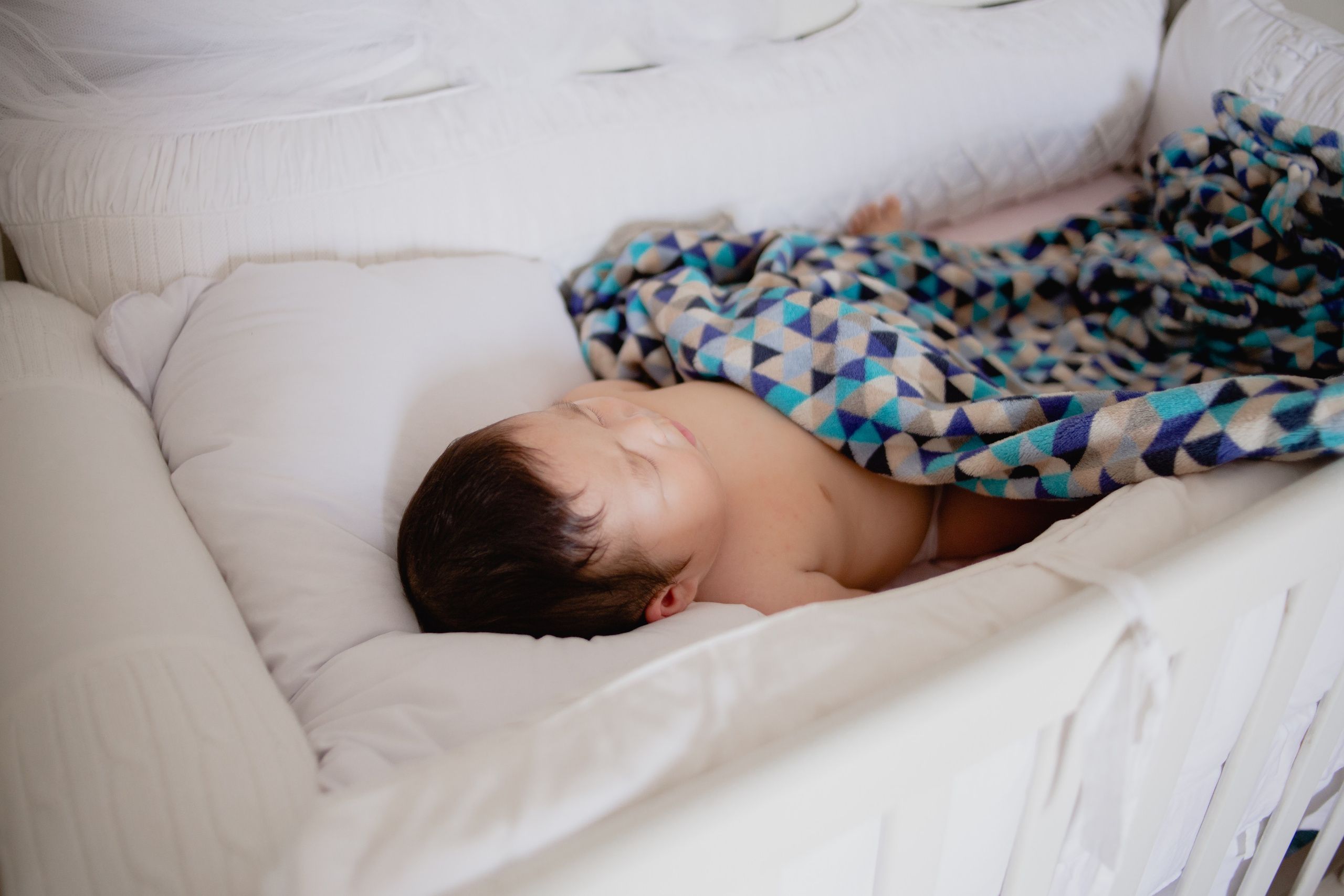 Documental Família Shimizu