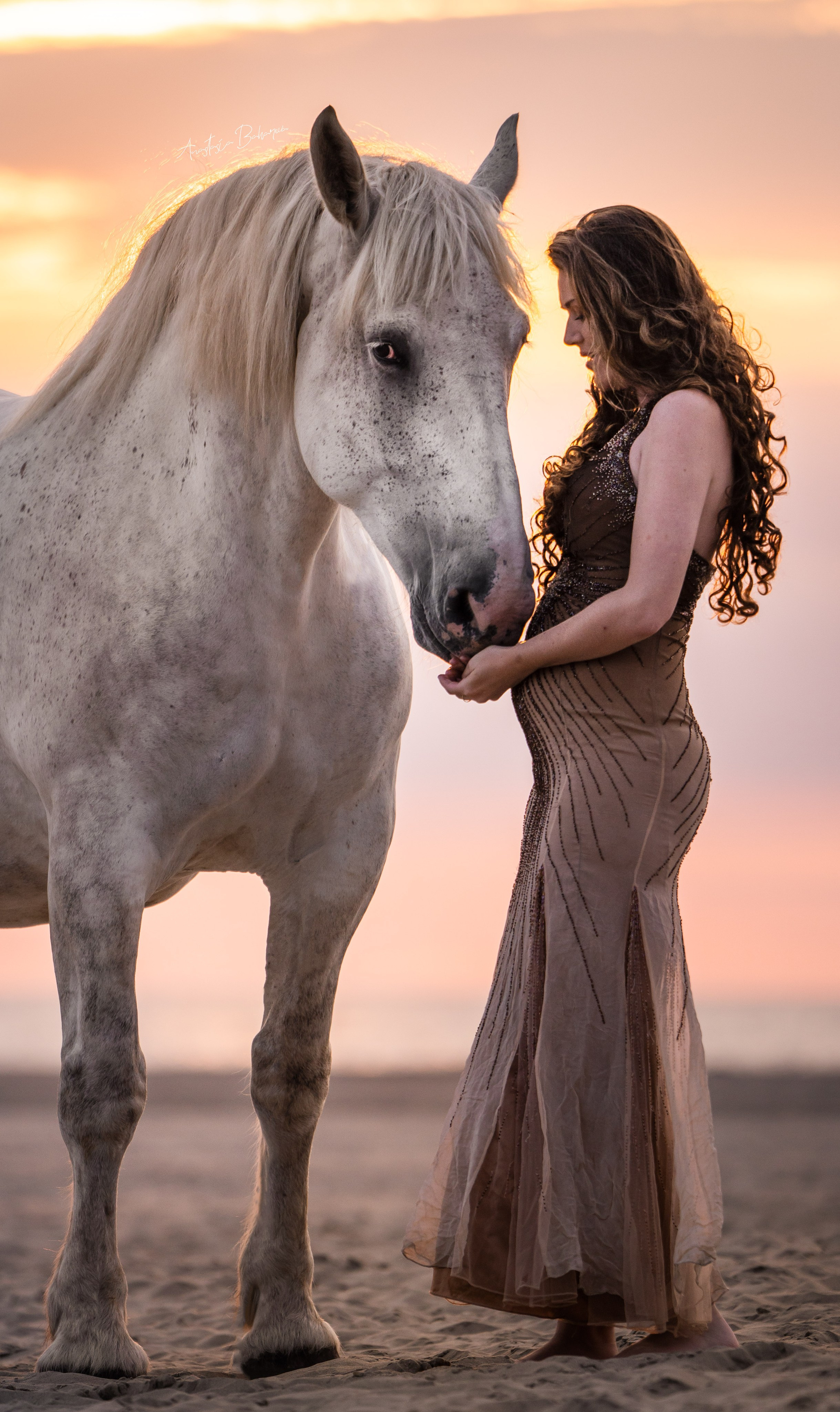 Horse Experience. Sports and portrait photographer in Riga